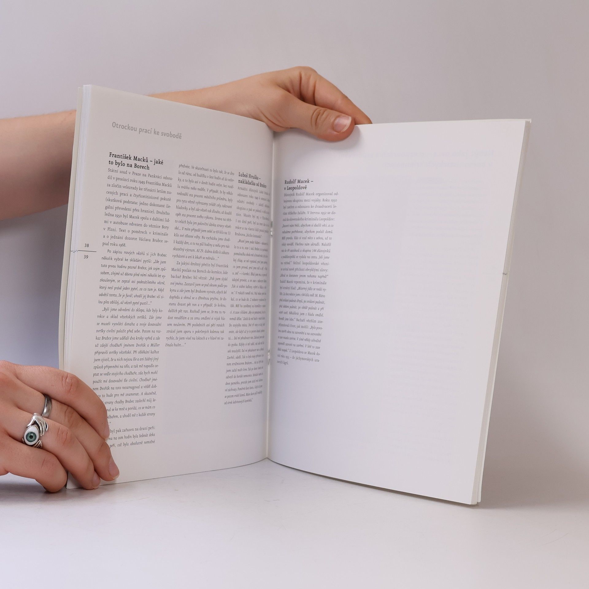 Autorenkollektiv Příběhy bezpráví : Kapitoly z československé historie 1948-1989