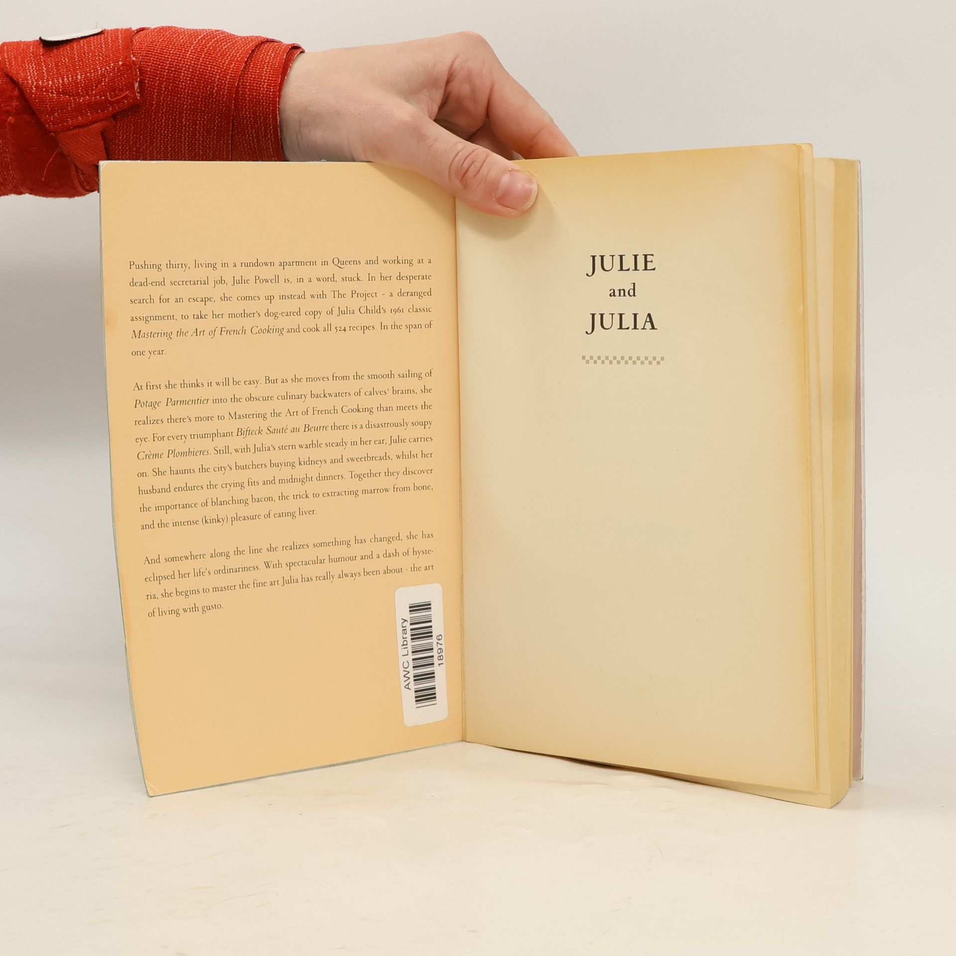 Julie Powellová Julie & Julia
