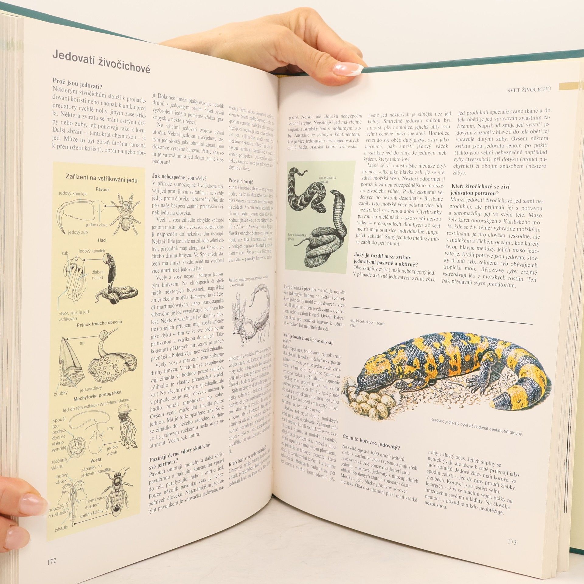 Stanislav Spanilý ABC přírody. Svět v otázkách a odpovědích