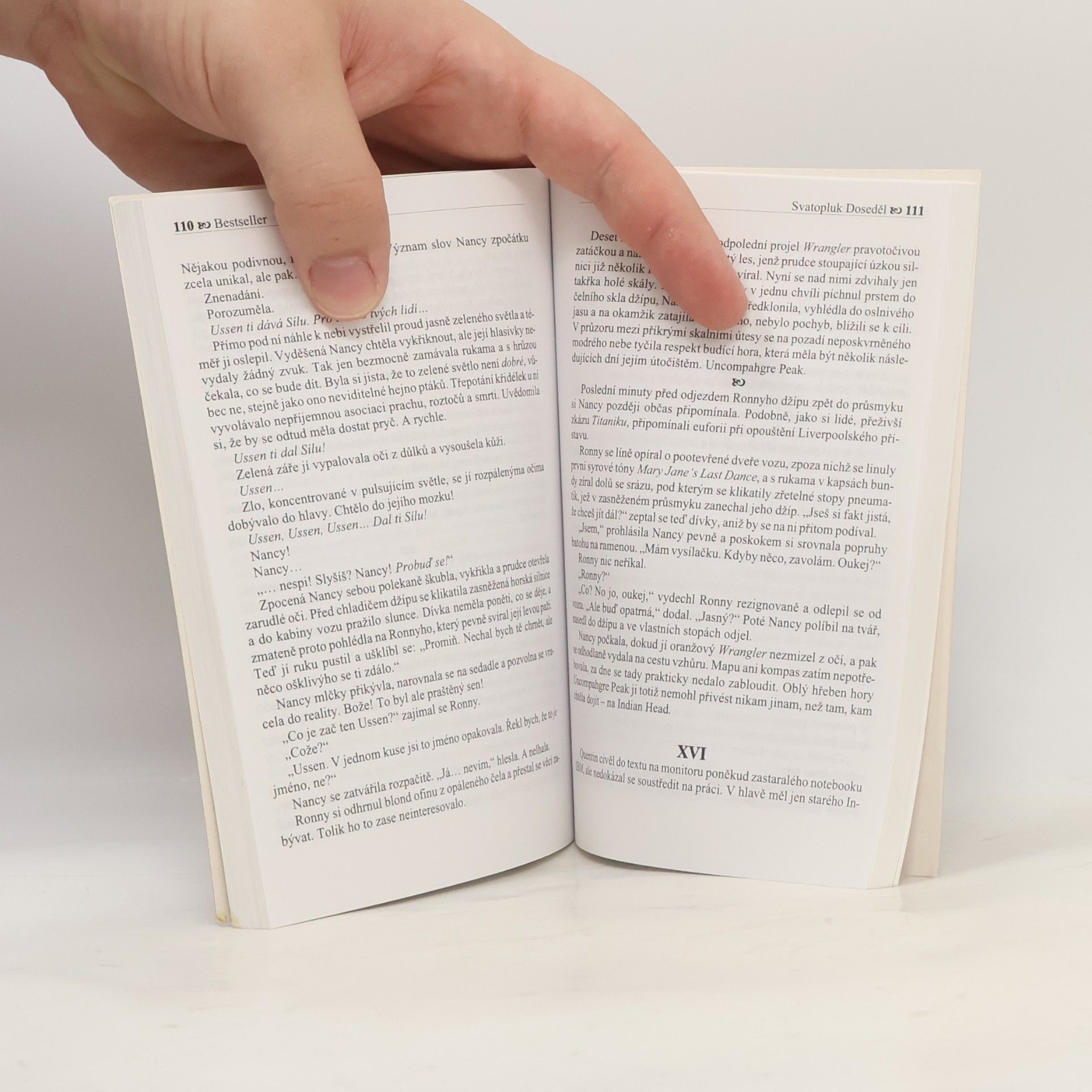 Svatopluk Doseděl Bestseller
