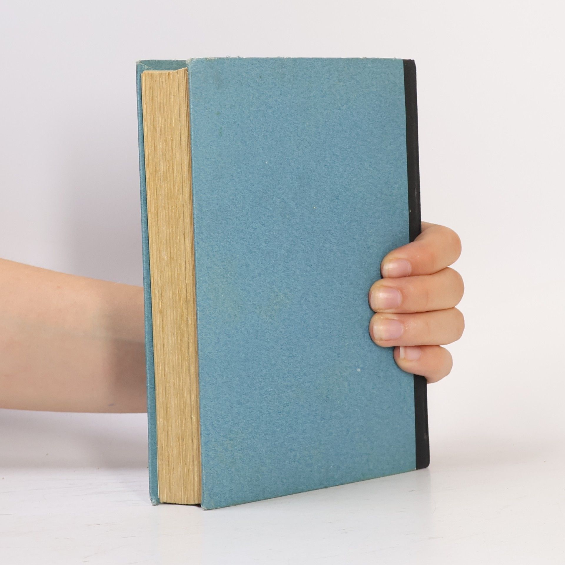 Wulf Bley Das buch der Spanienflieger