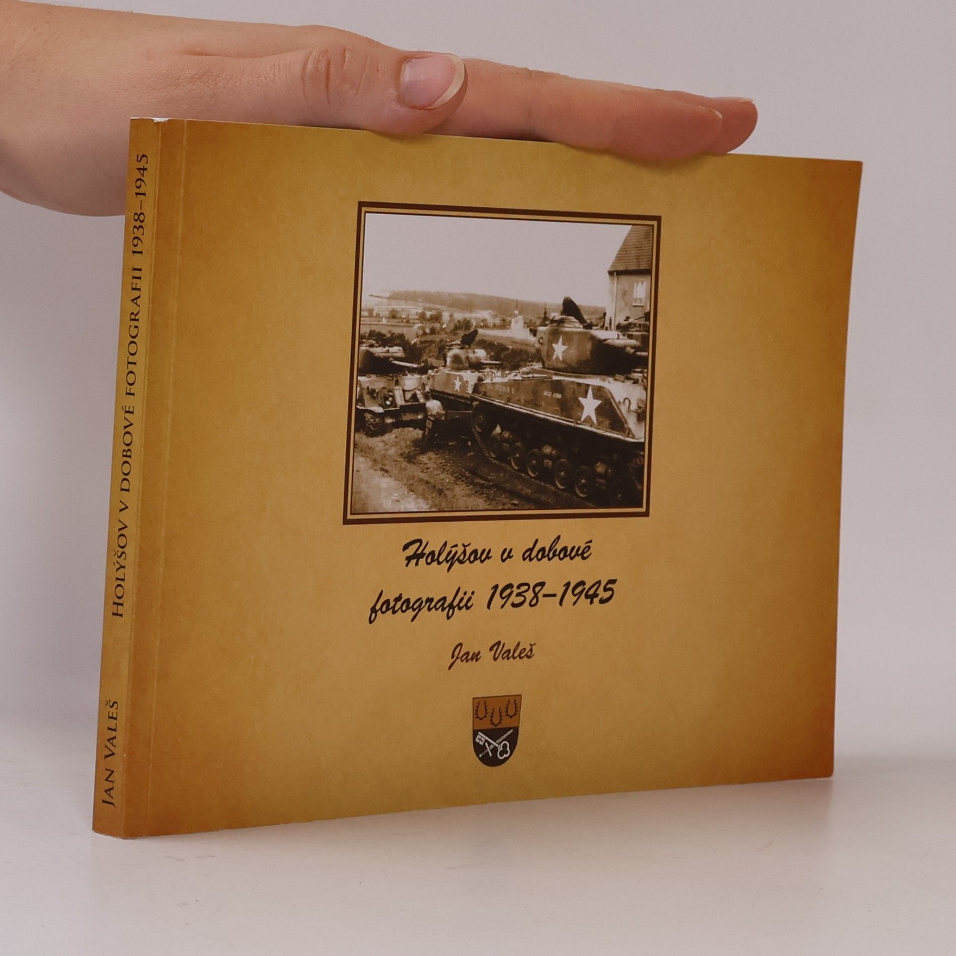 Holýšov a okolí v nejstarší fotografii