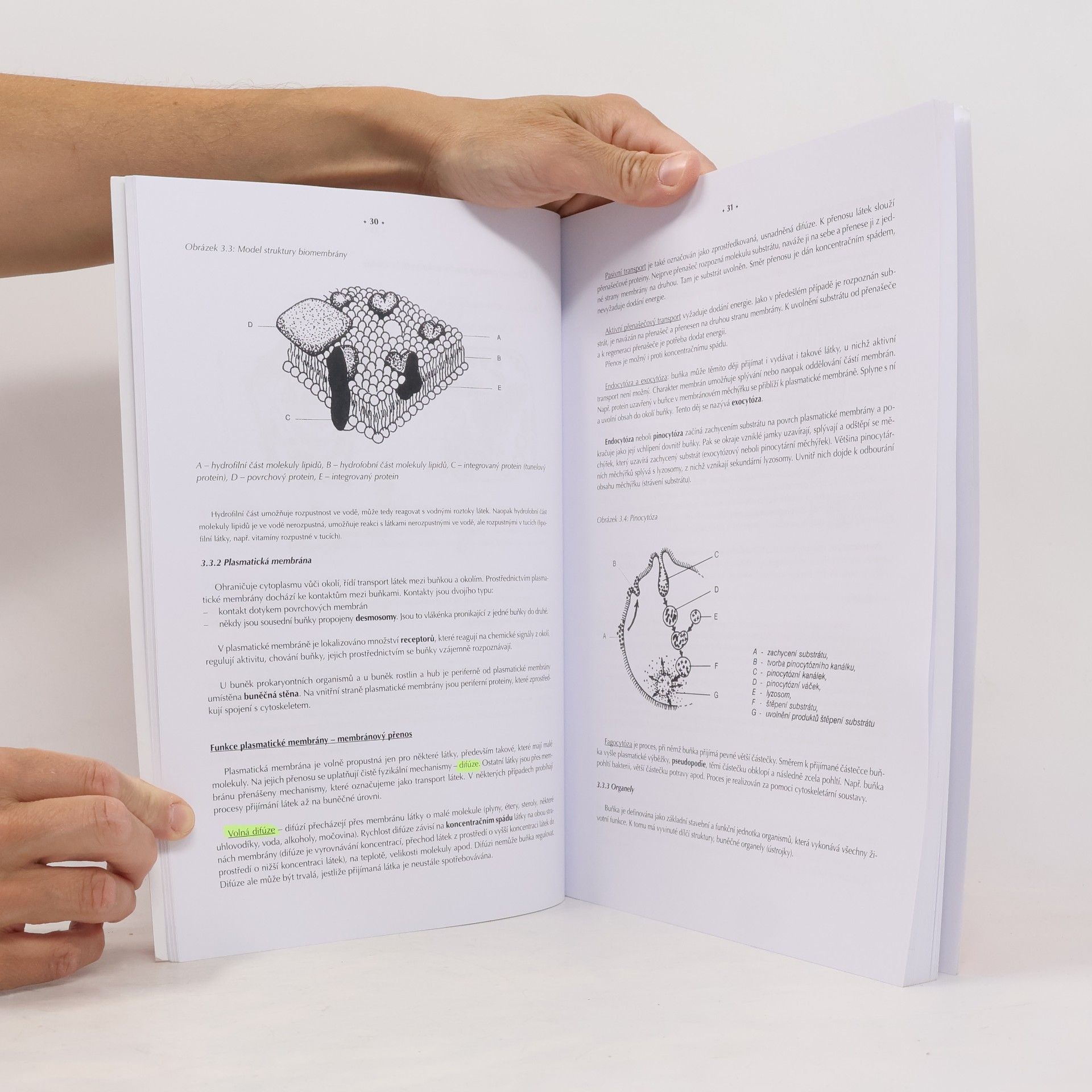 Antonín Hrůza Biologie pro zdravotnické školy