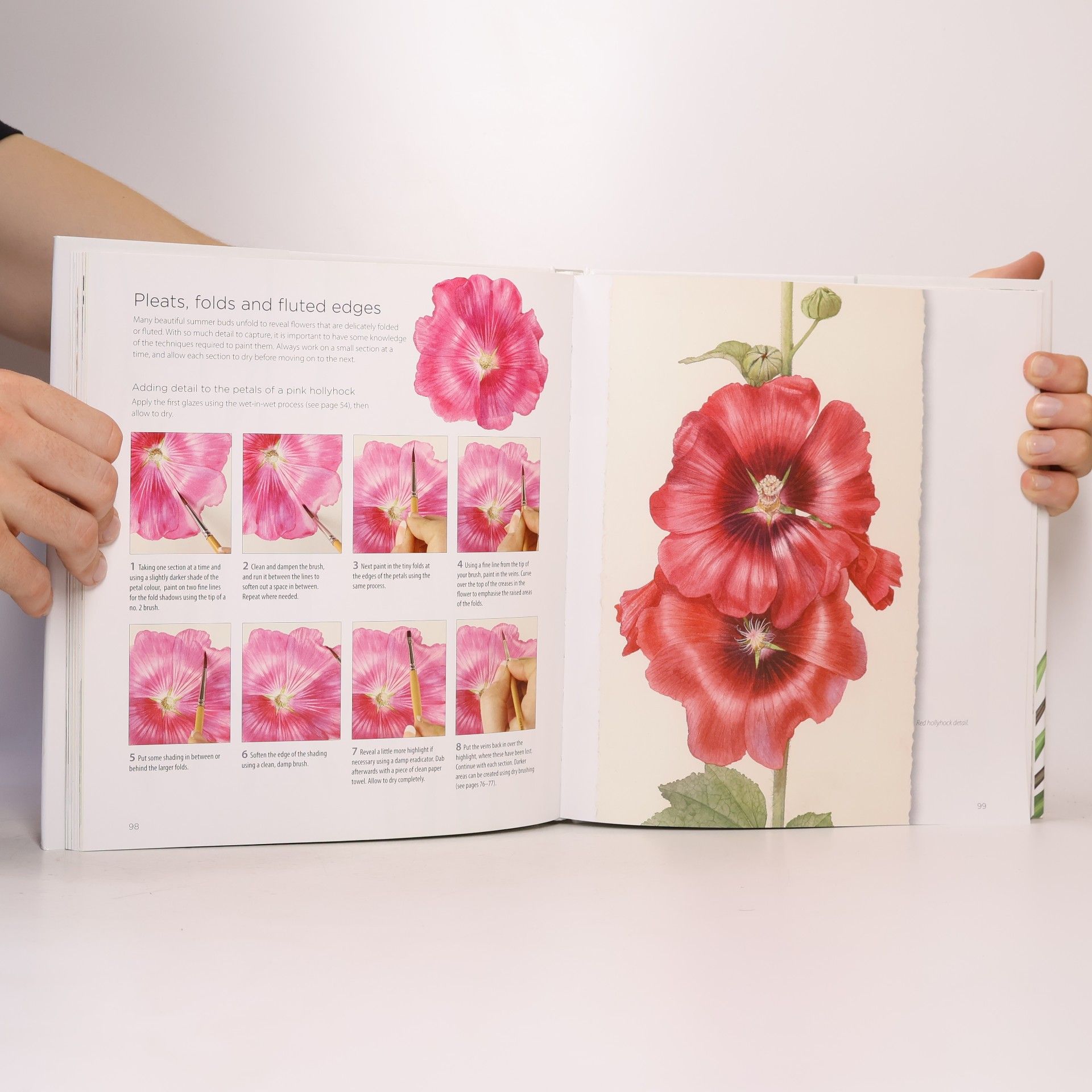 Billy Showell Billy Showell's botanical painting in watercolour.
