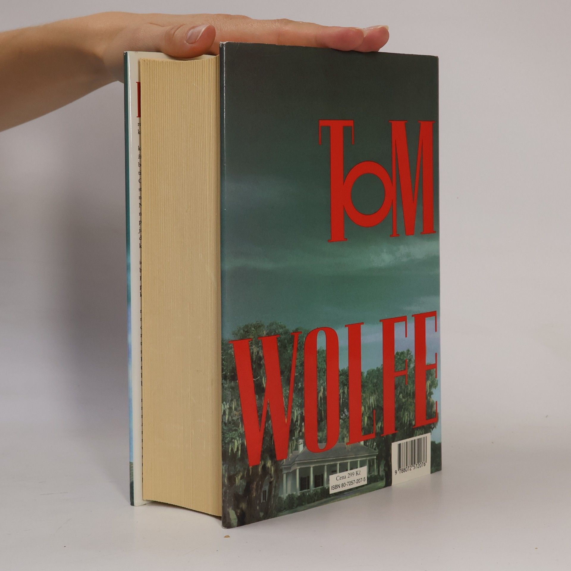 Tom Wolfe Muž na vrcholu