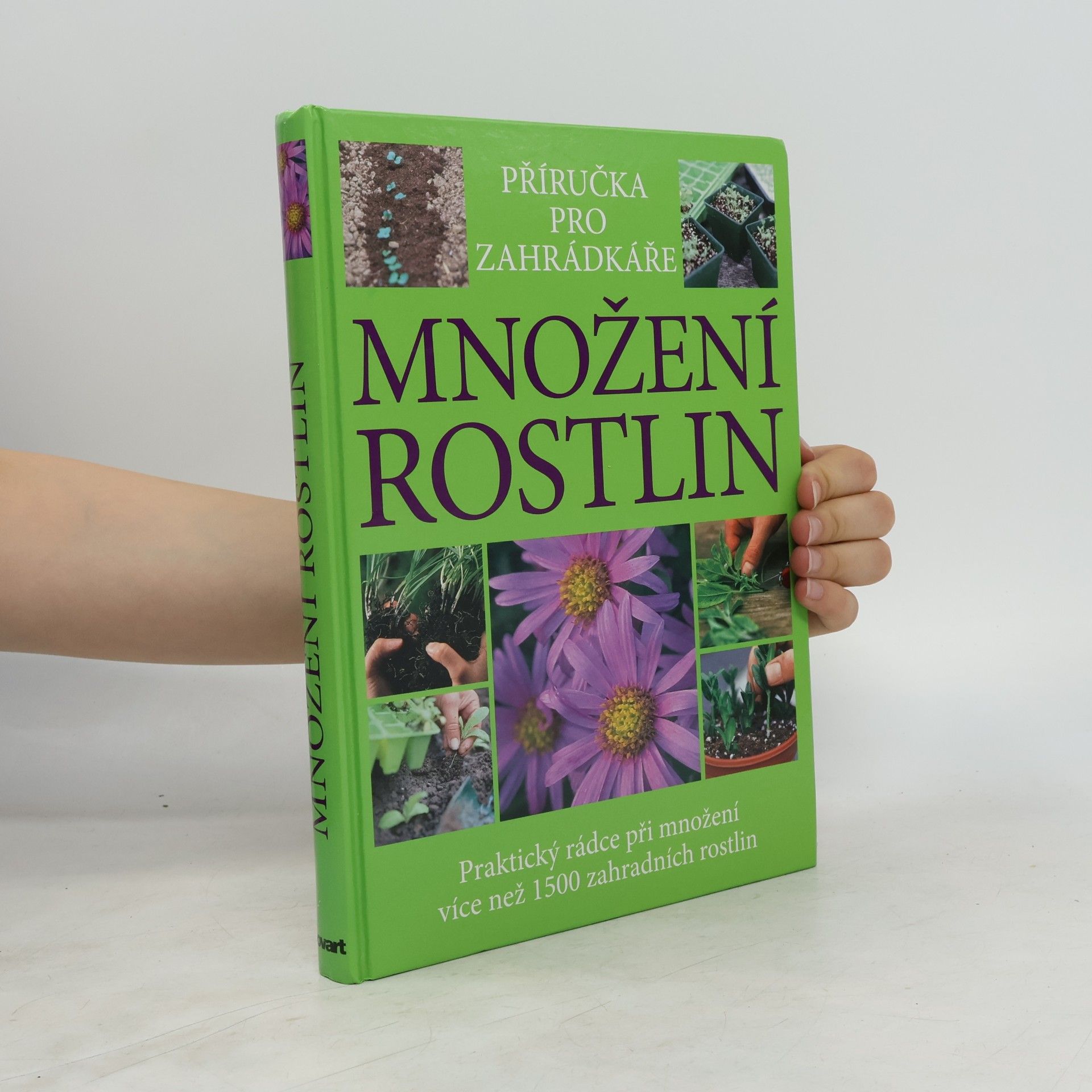 Množení rostlin