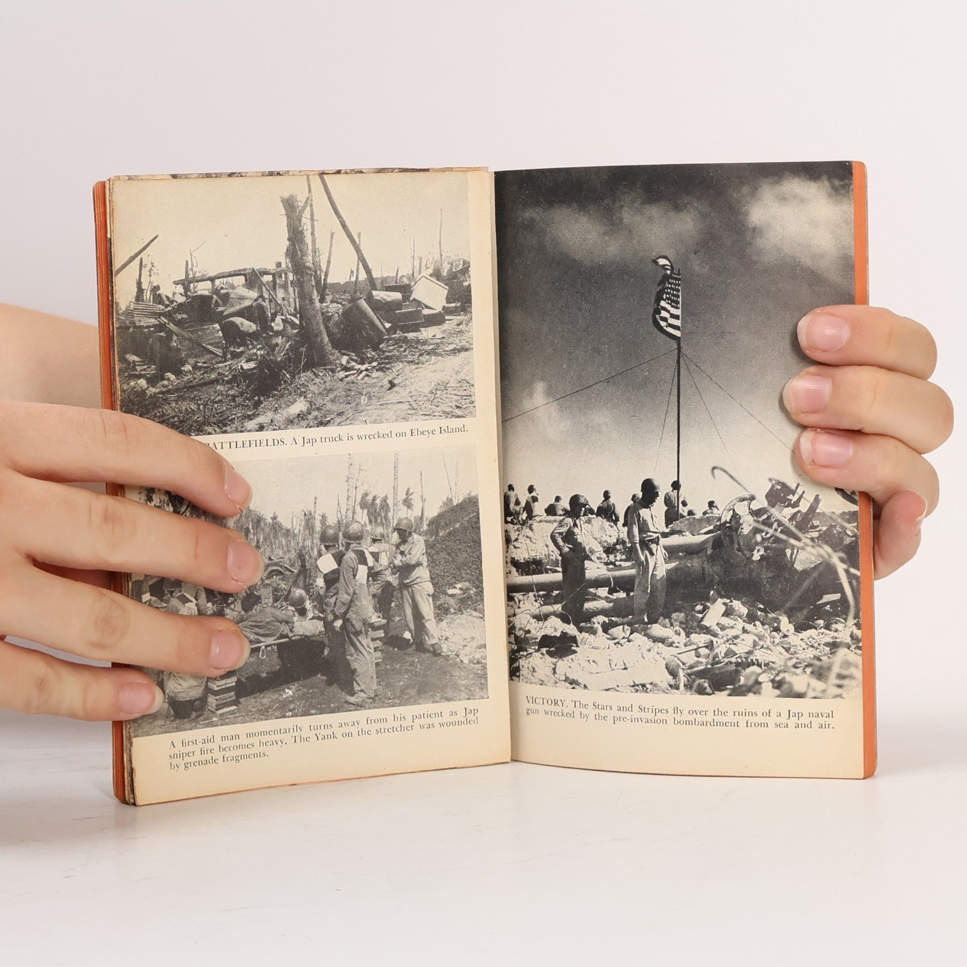 Various authors Island Victory