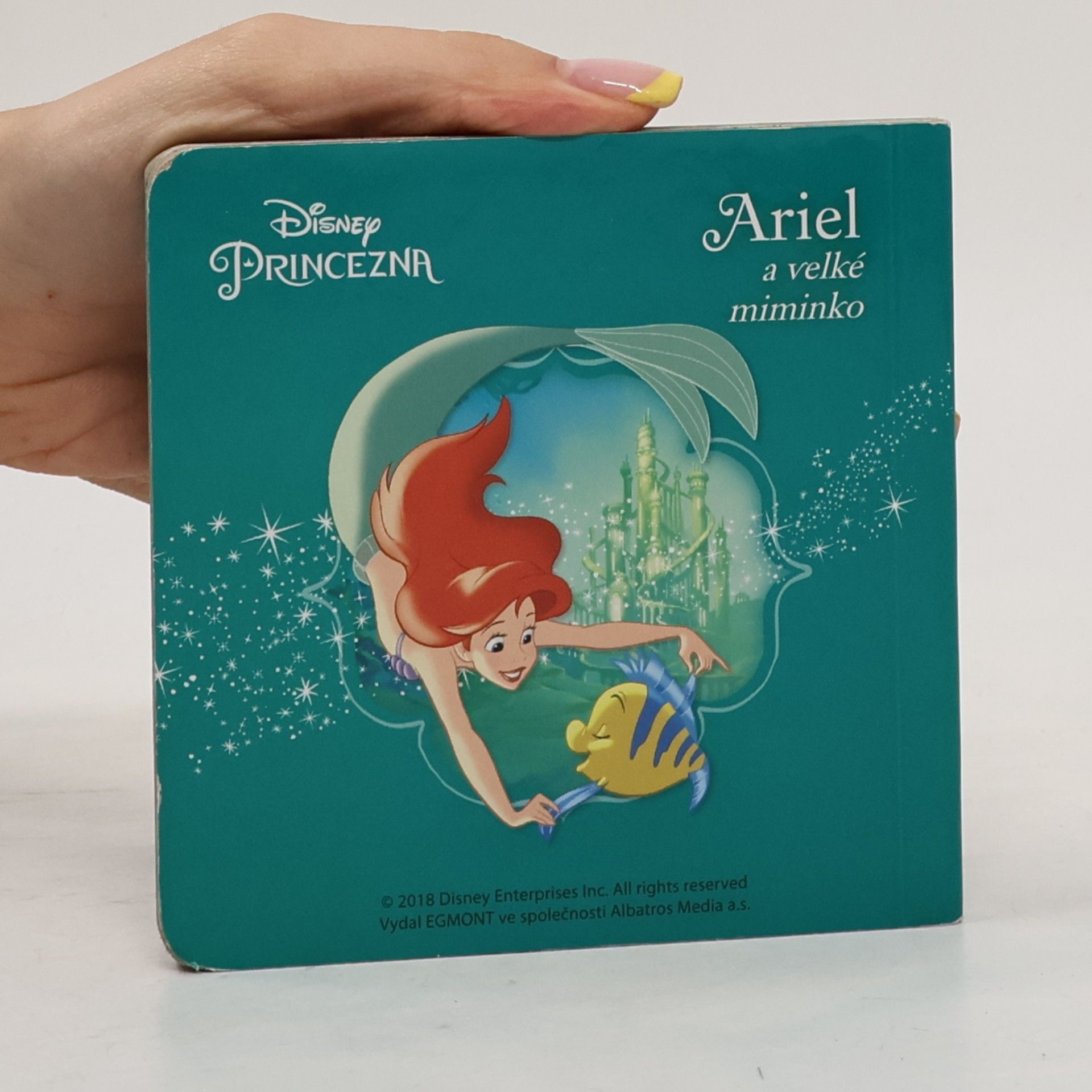 Autorenkollektiv Ariel a velké miminko