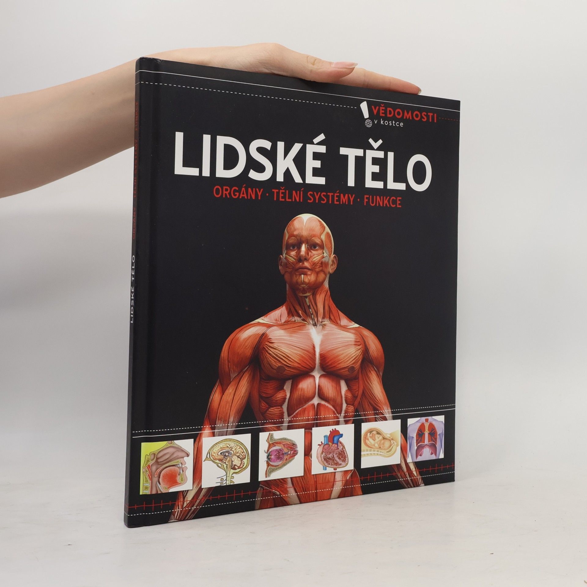 Kolektiv autorů Lidské tělo