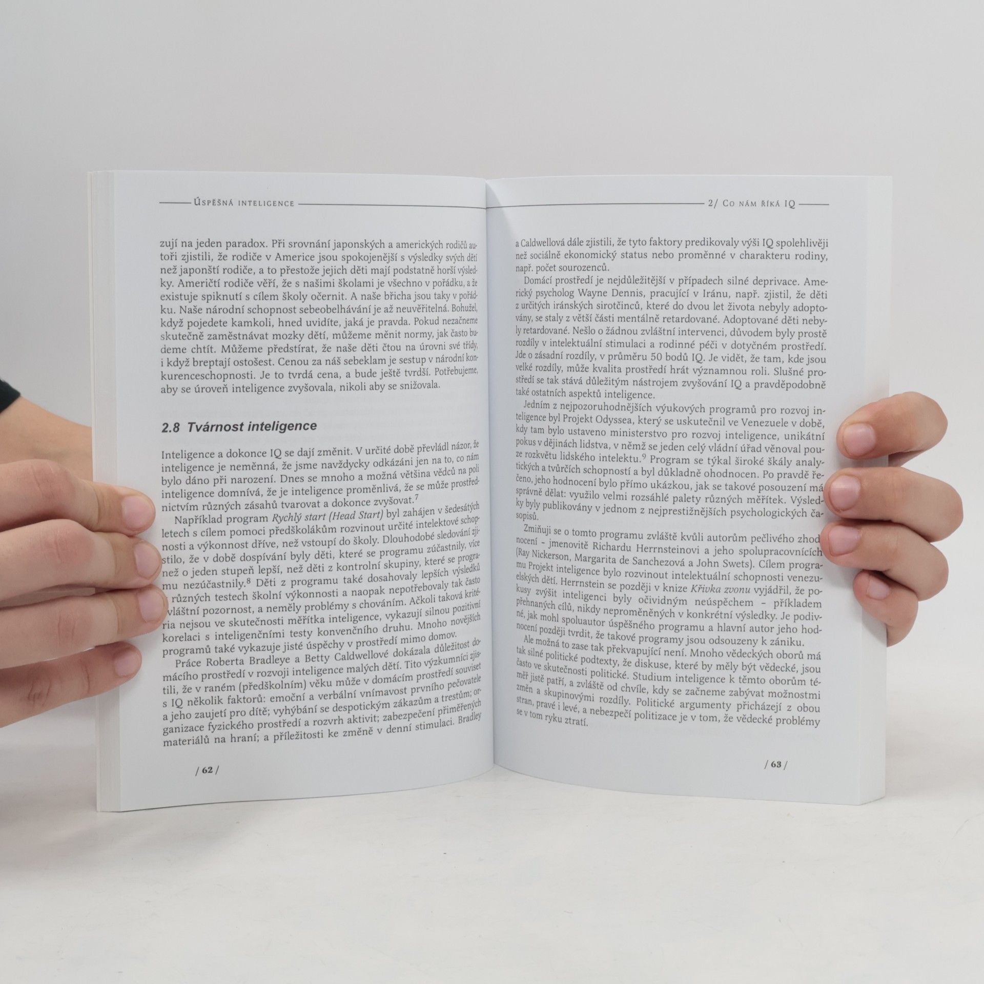 Robert Sternberg Úspěšná inteligence : jak rozvíjet praktickou a tvůrčí inteligenci