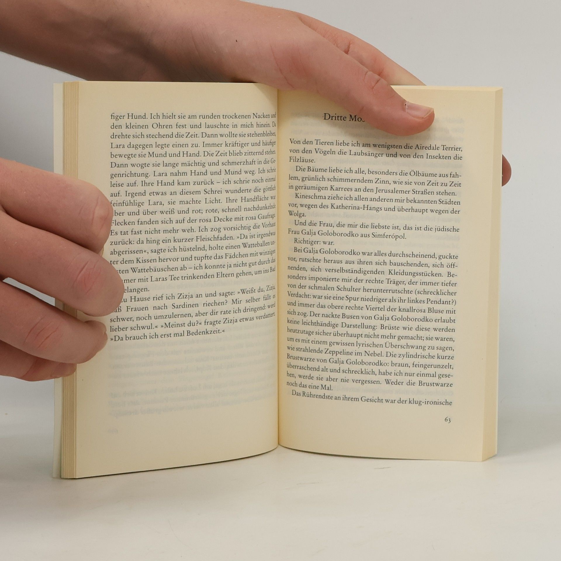 Oleg Jurjew Spaziergänge unter dem Hohlmond