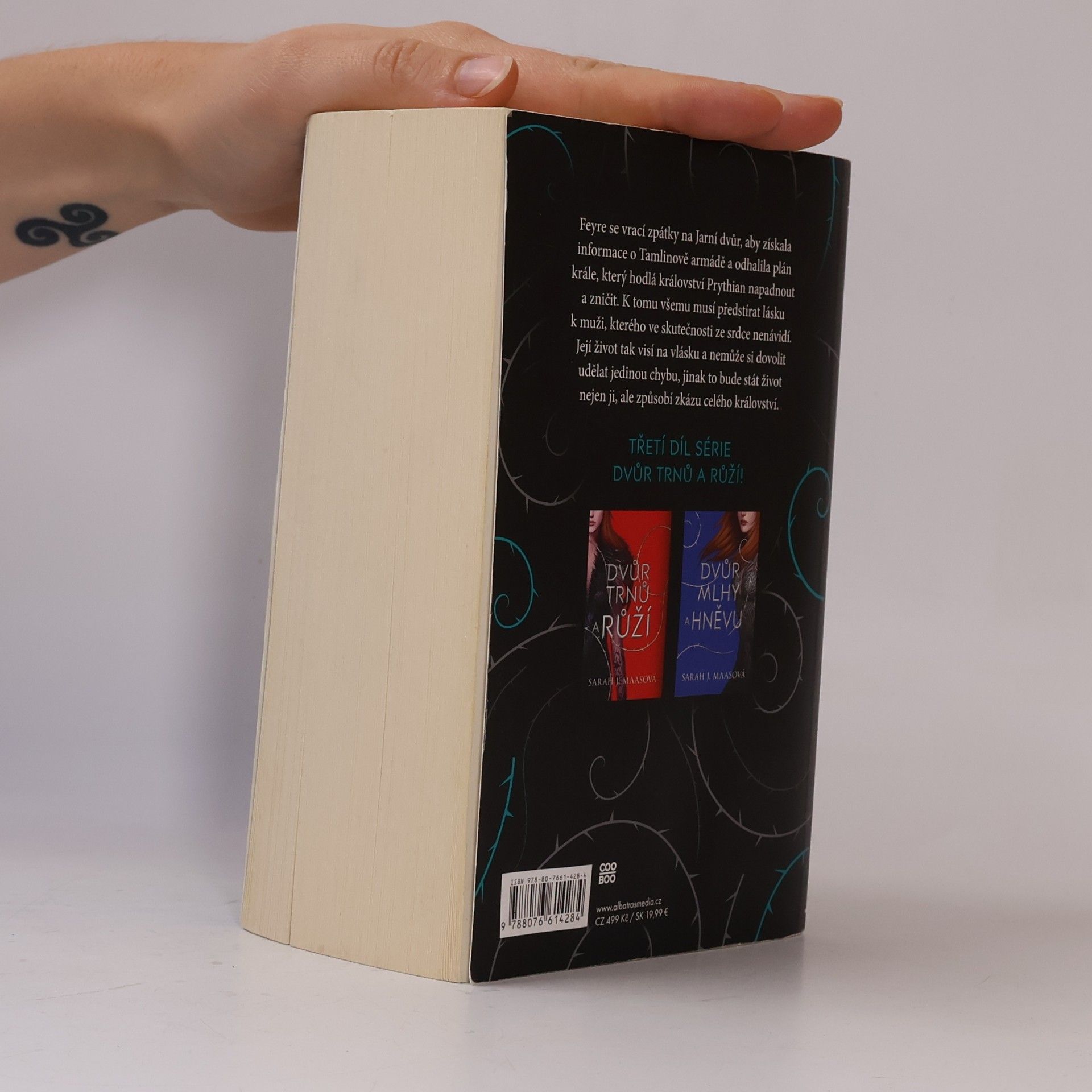 Sarah J. Maas Dvůr křídel a zmaru