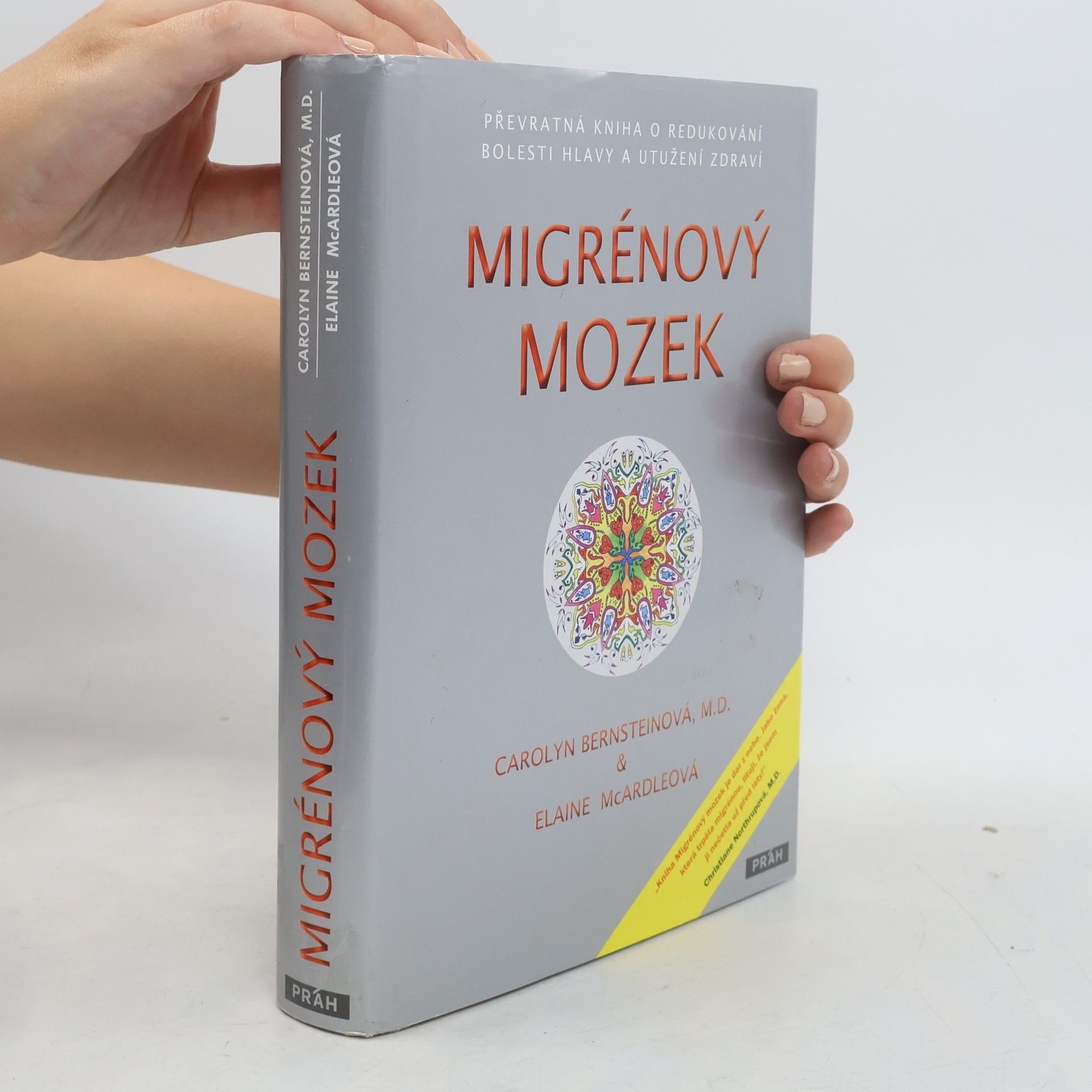Carolyn Bernstein Migrénový mozek