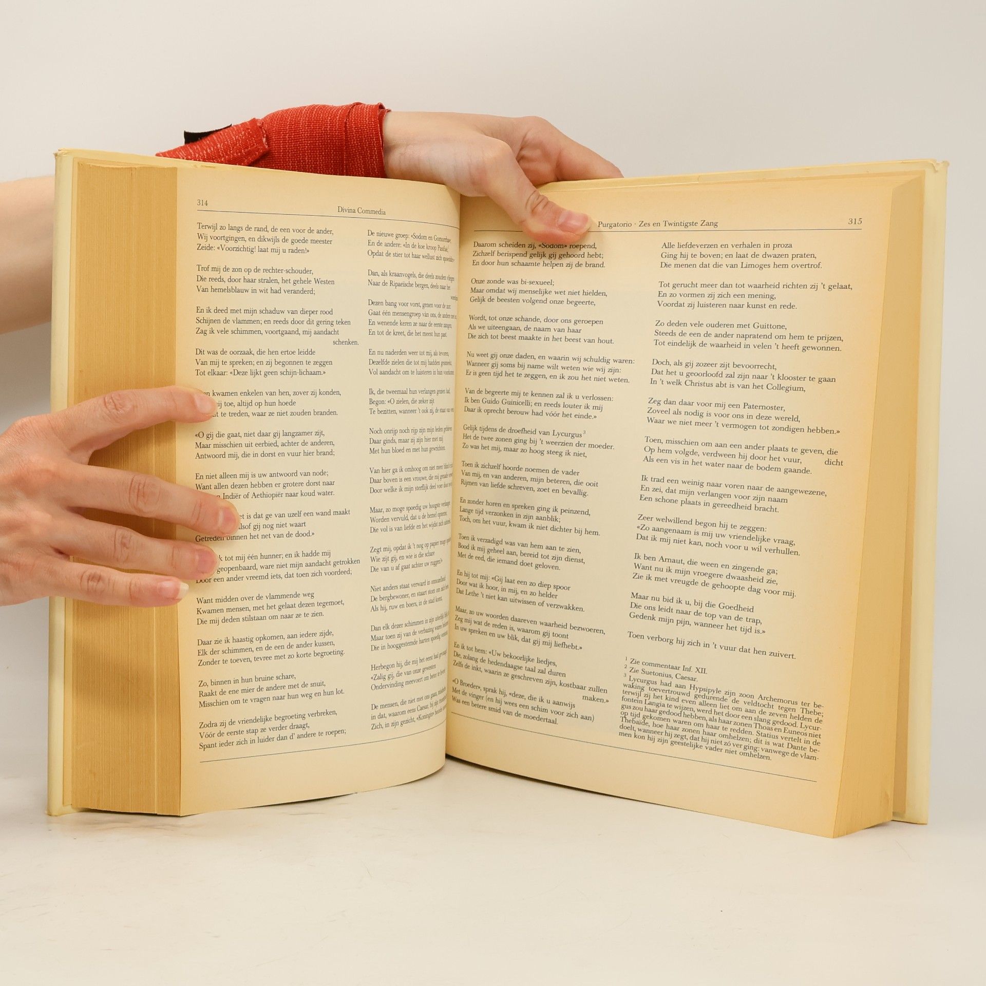 Dante Alighieri Divina Commedia