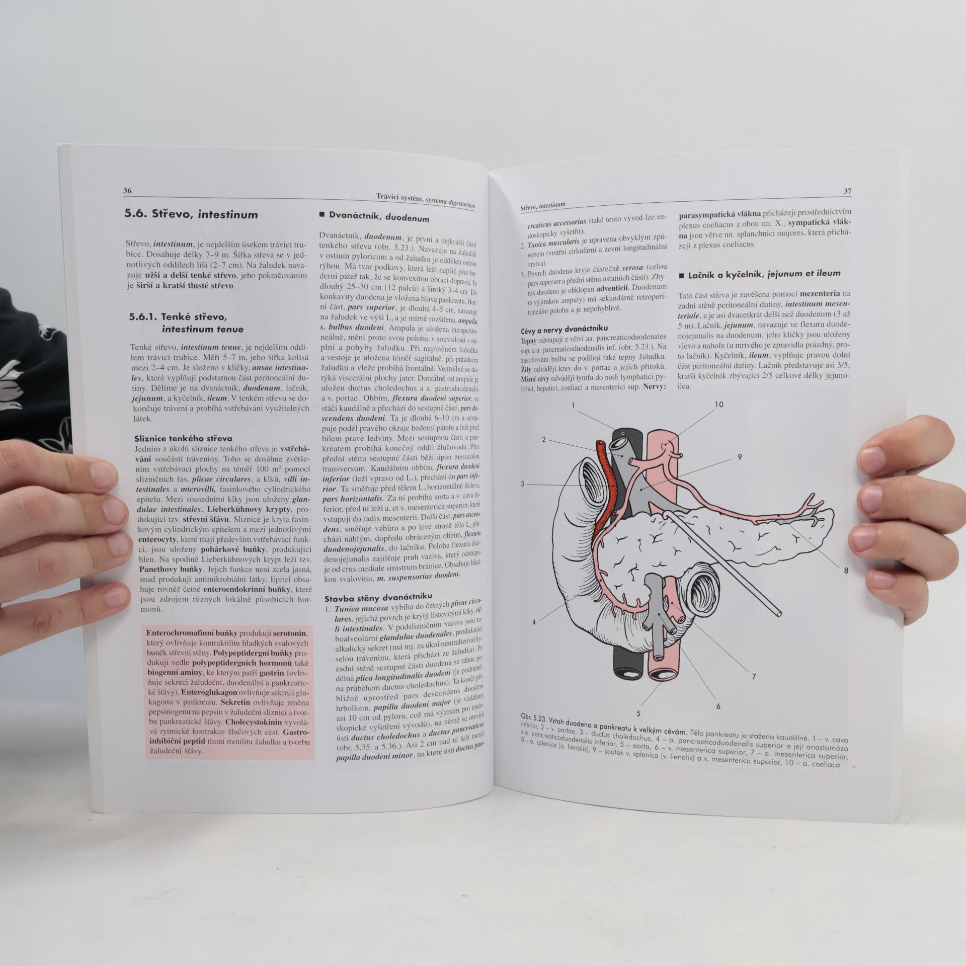 Miloš Grim Základy anatomie 3. Trávicí, dýchací, močopohlavní a endokrinní systém