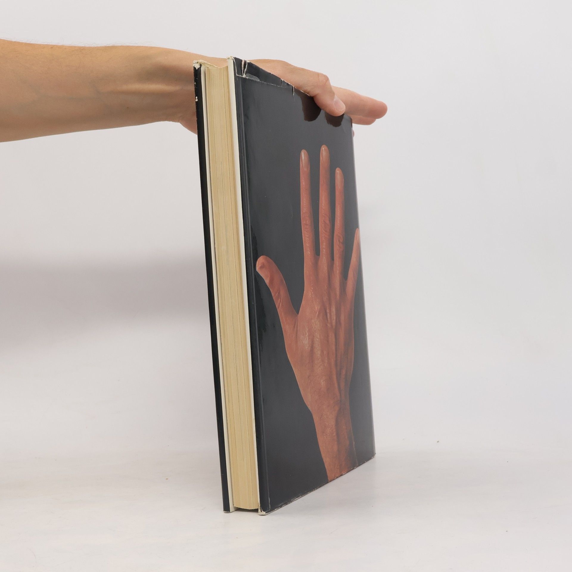Fred Gettings The Book of the Hand