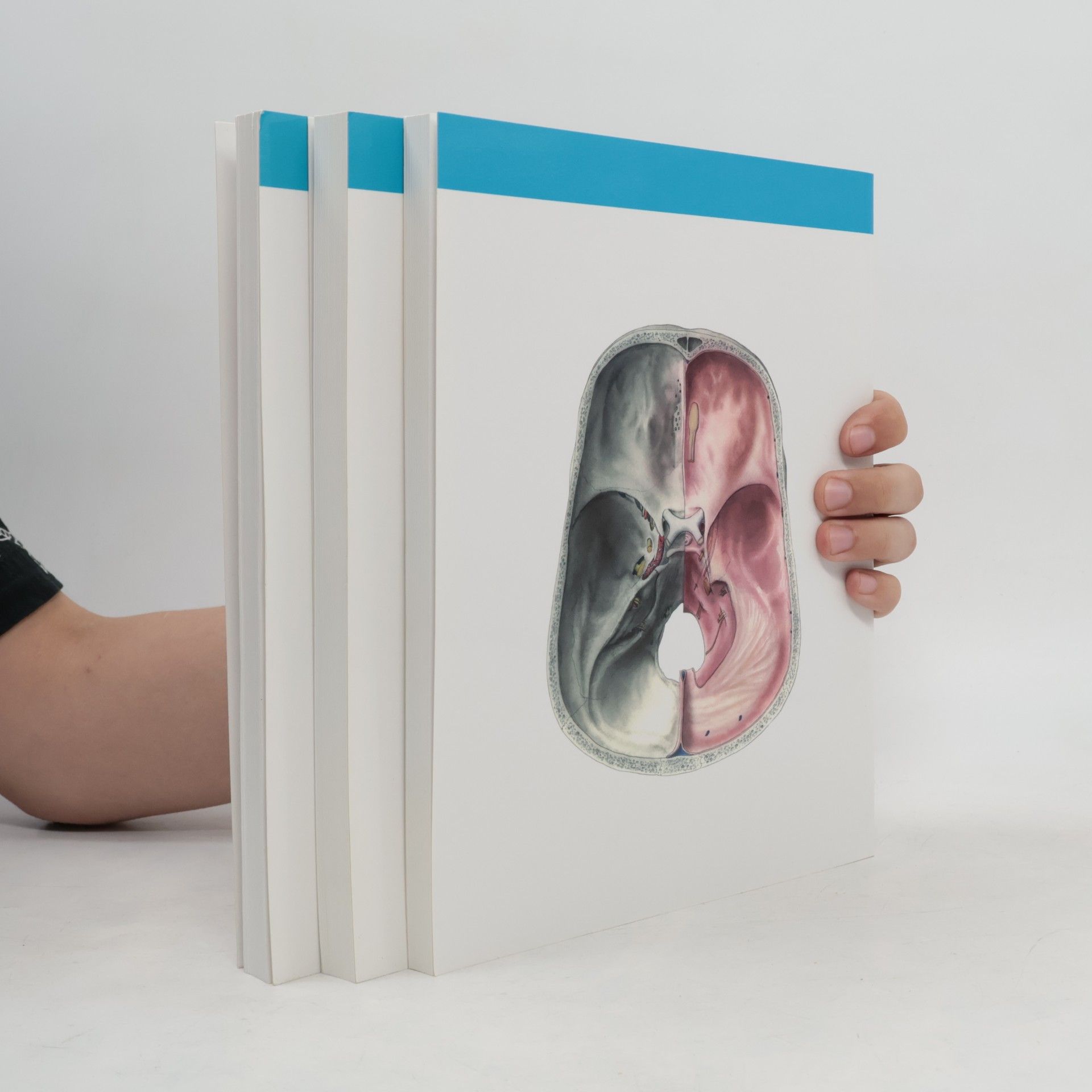 Radomír Čihák Anatomie 3. Svazky I-III