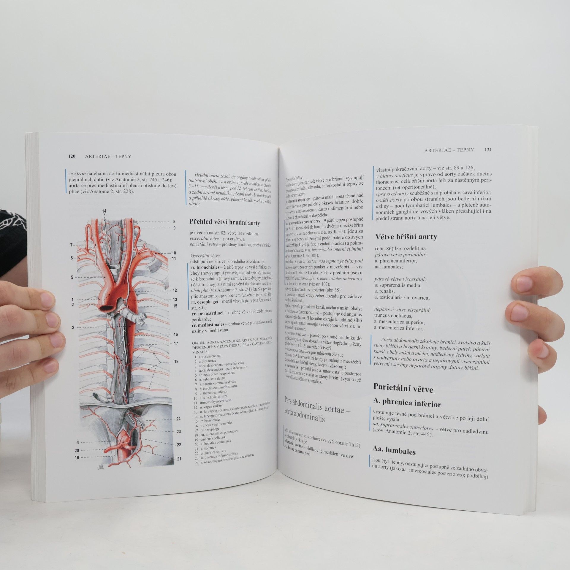 Radomír Čihák Anatomie 3. Svazky I-III