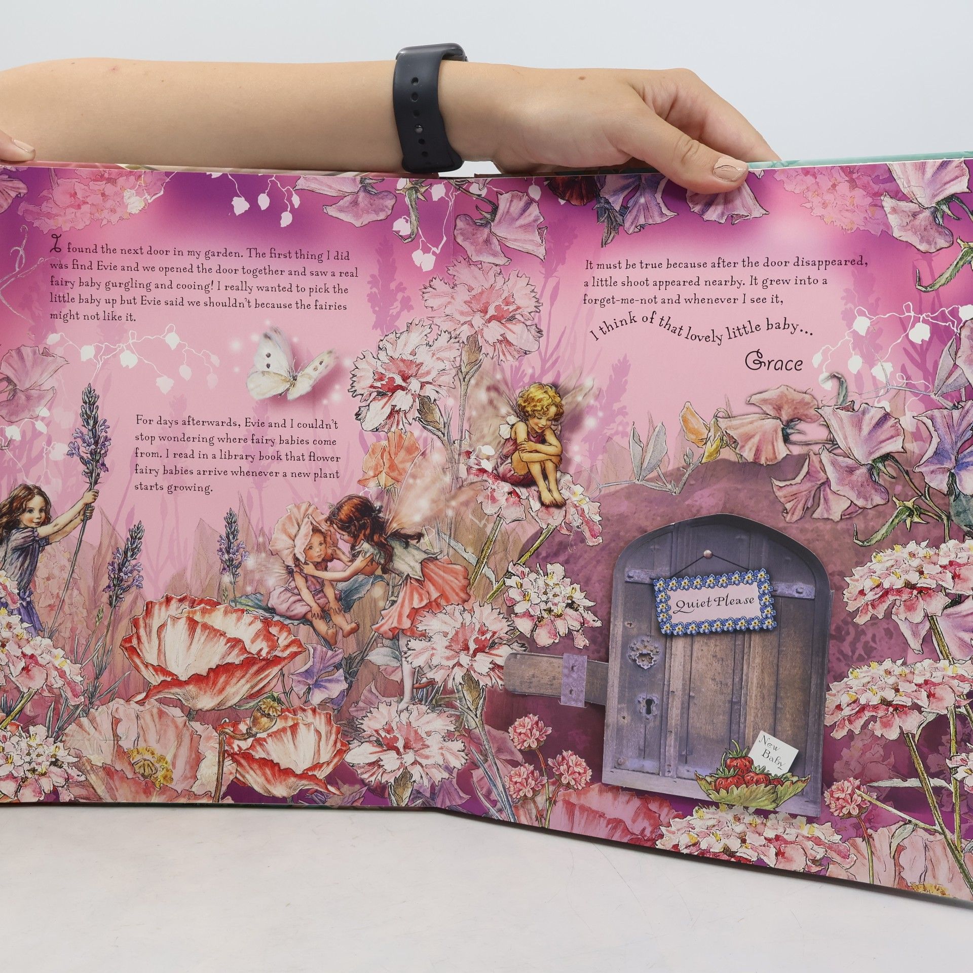 Cicely Mary Barker Flower Fairies Magical Doors