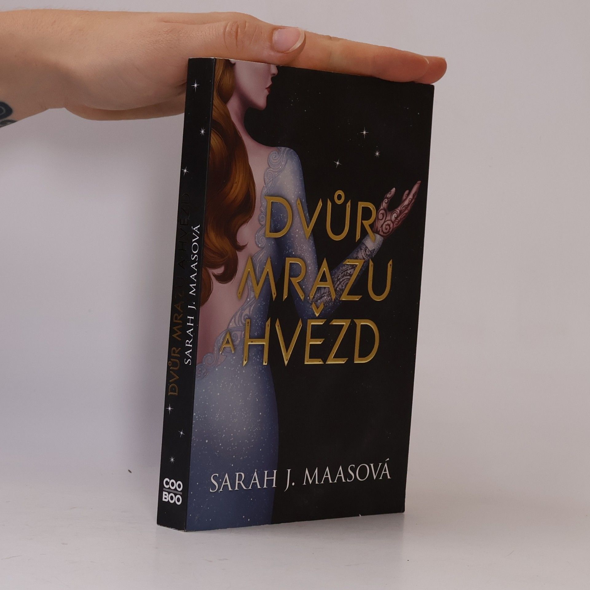 Sarah J. Maas Dvůr mrazu a hvězd