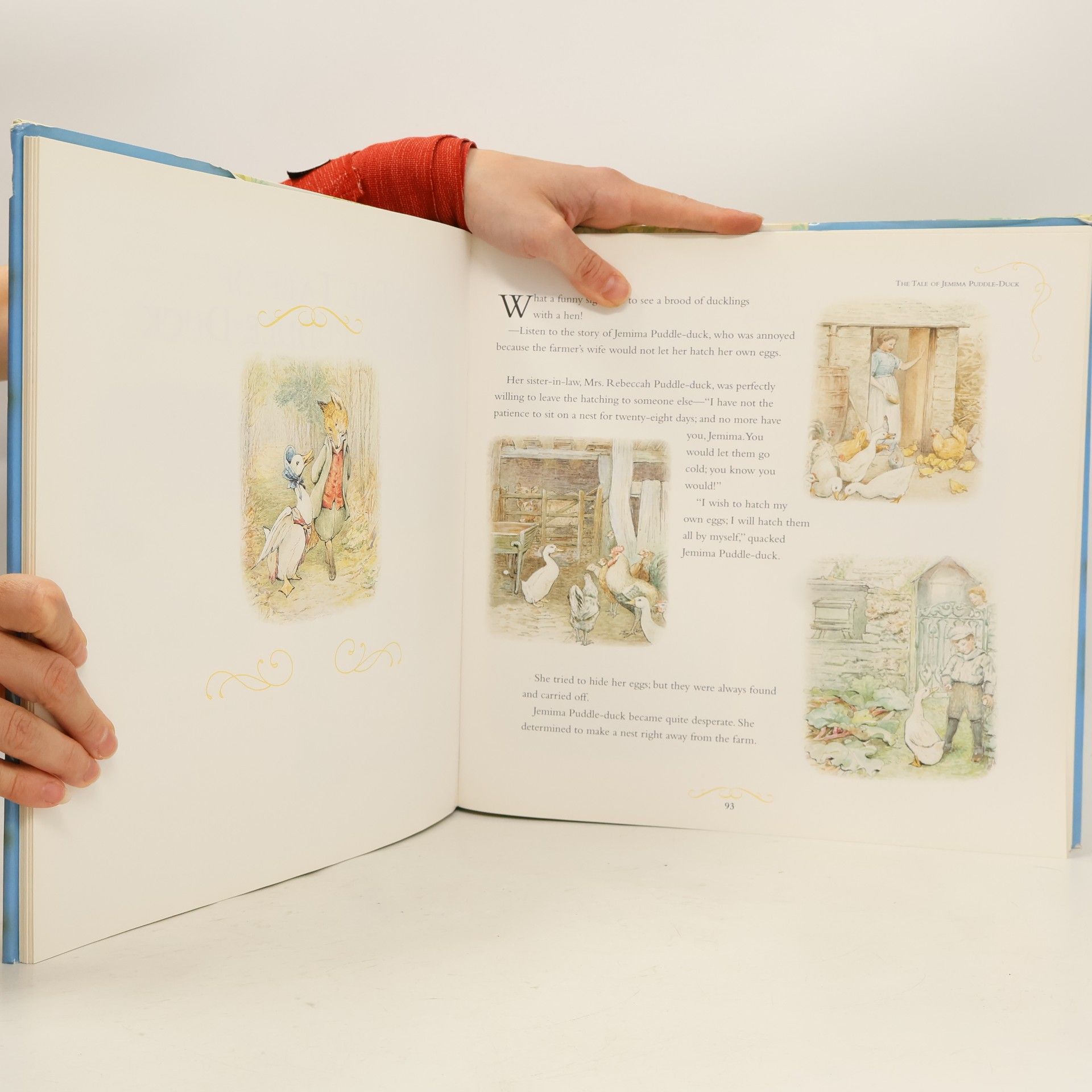Beatrix Potter Peter Rabbit's giant storybook
