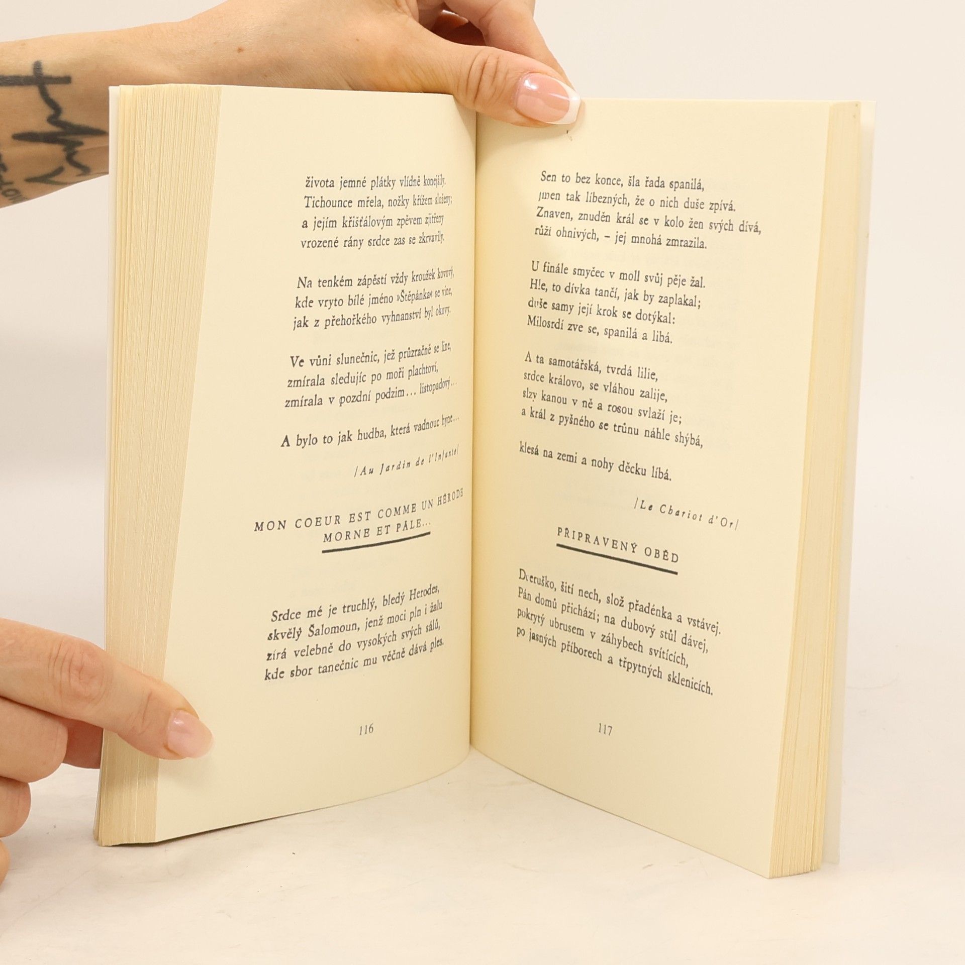 Karel Čapek Výbor francouzské poezie