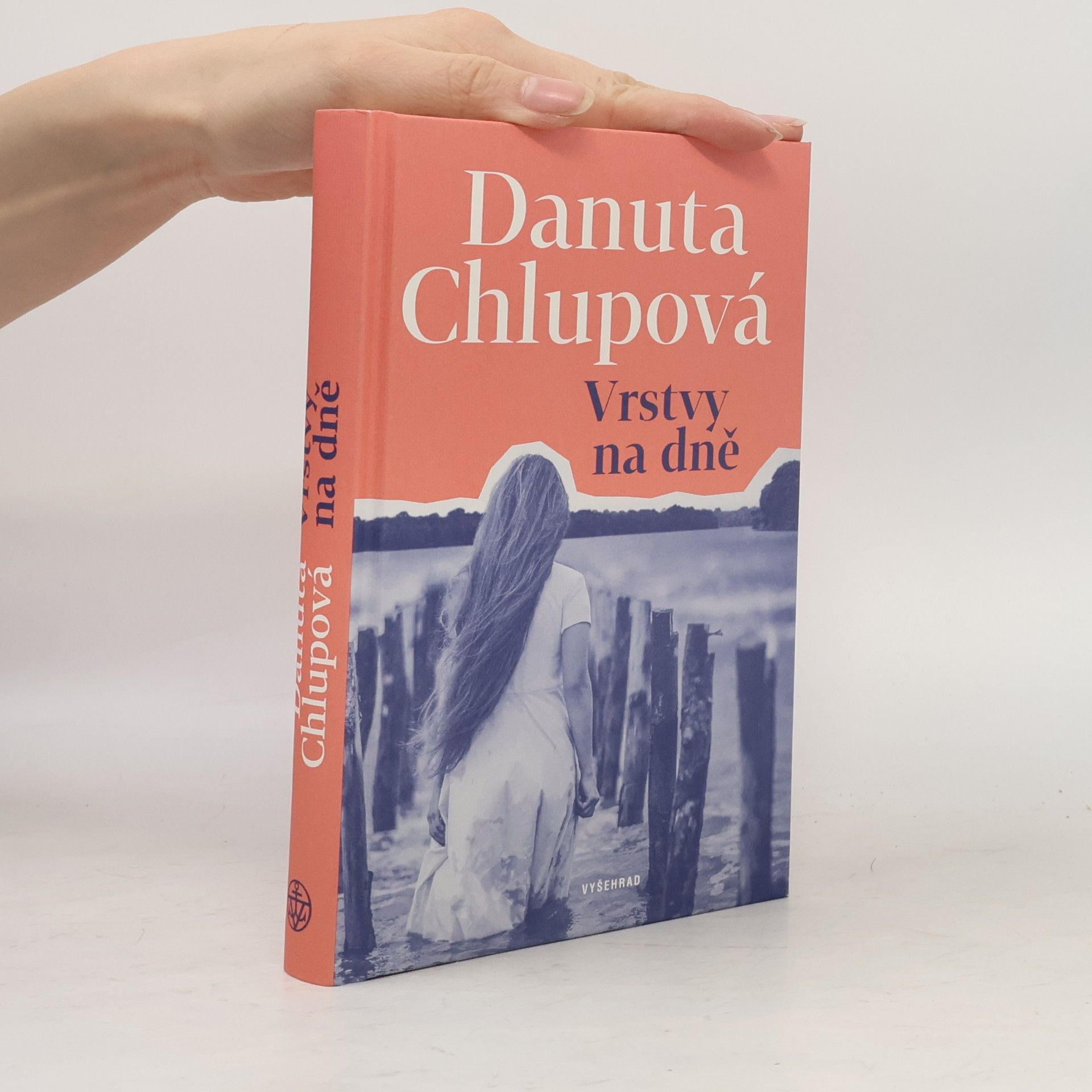 Danuta Chlupová Vrstvy na dně
