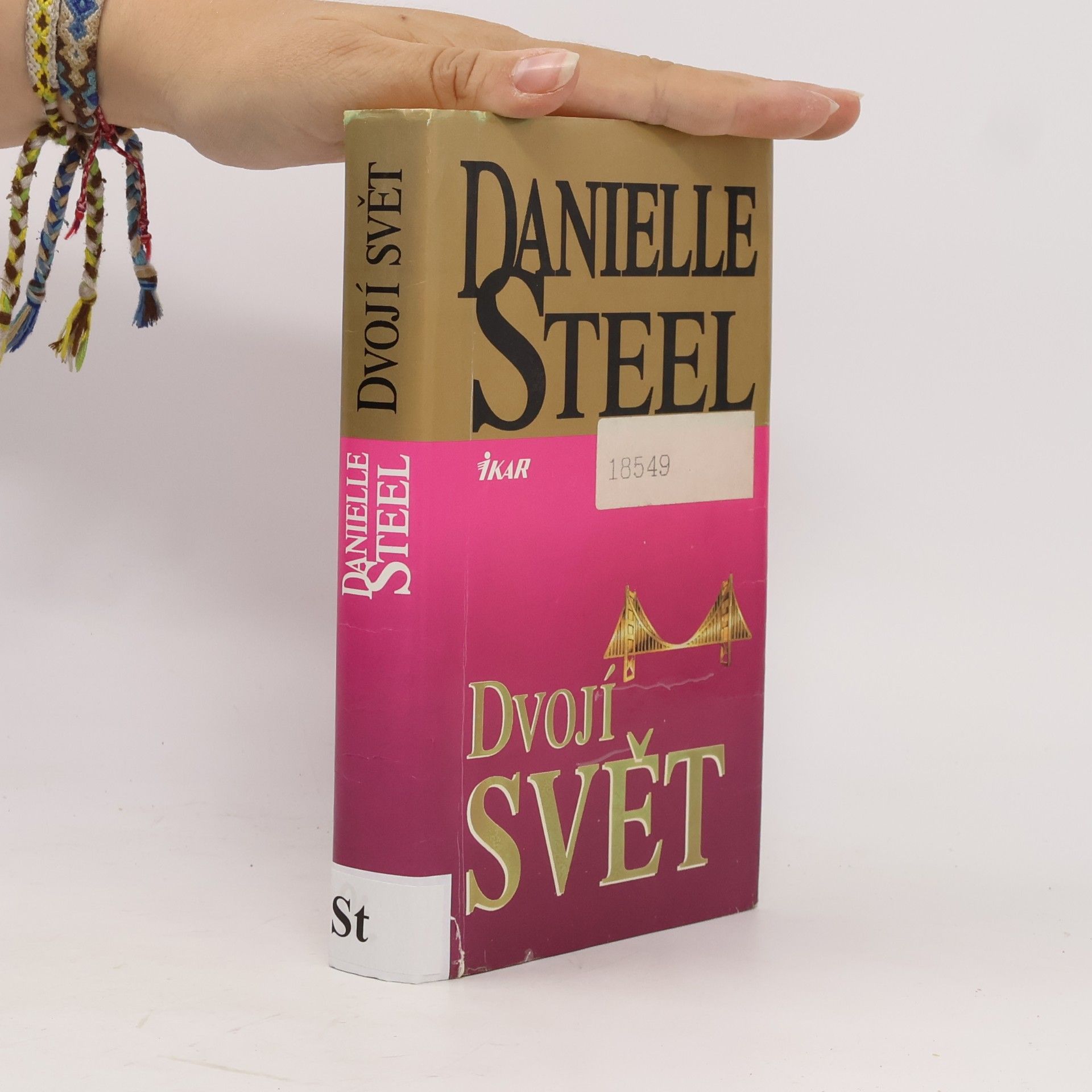 Danielle Steel Dvojí svět