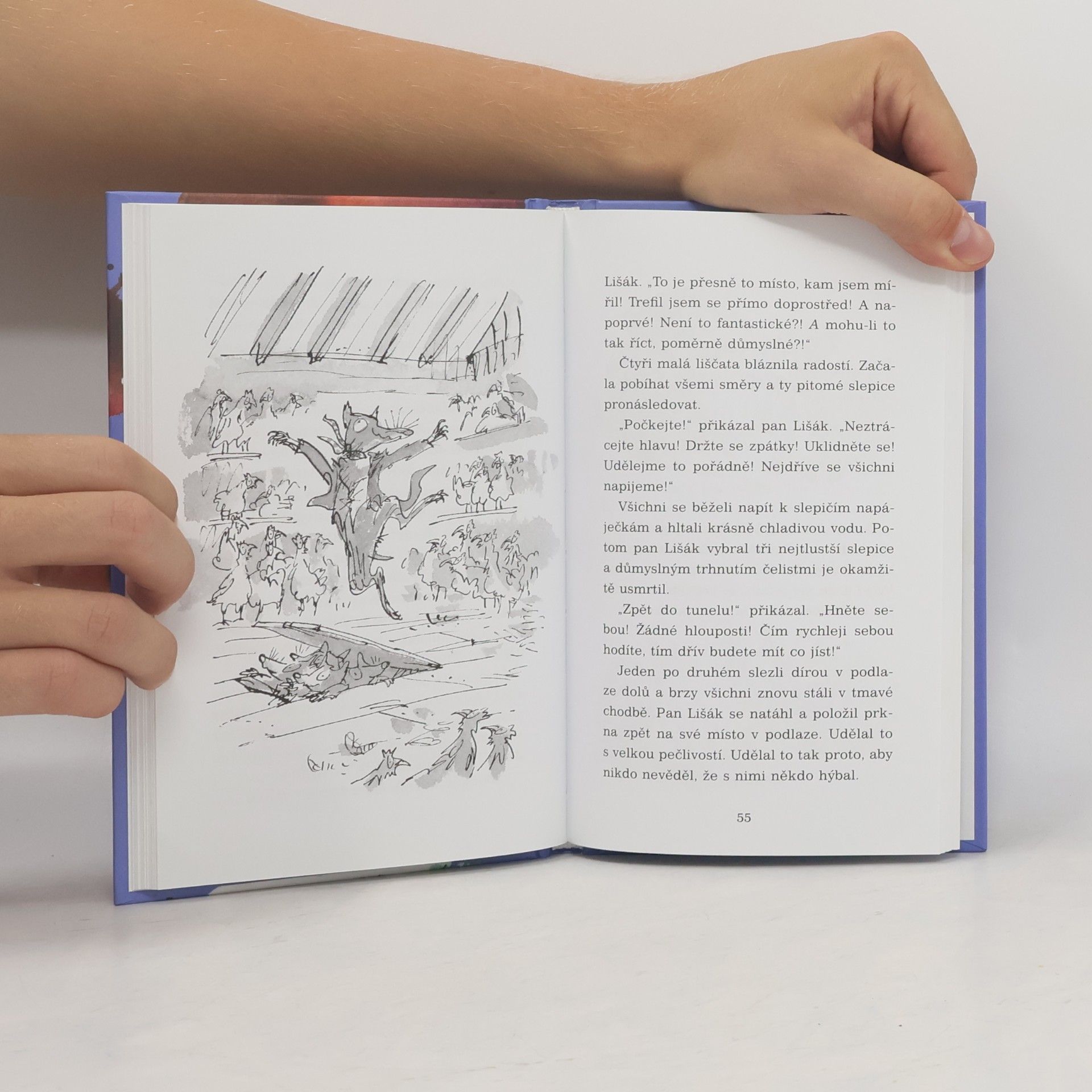 Roald Dahl Fantastický pan Lišák