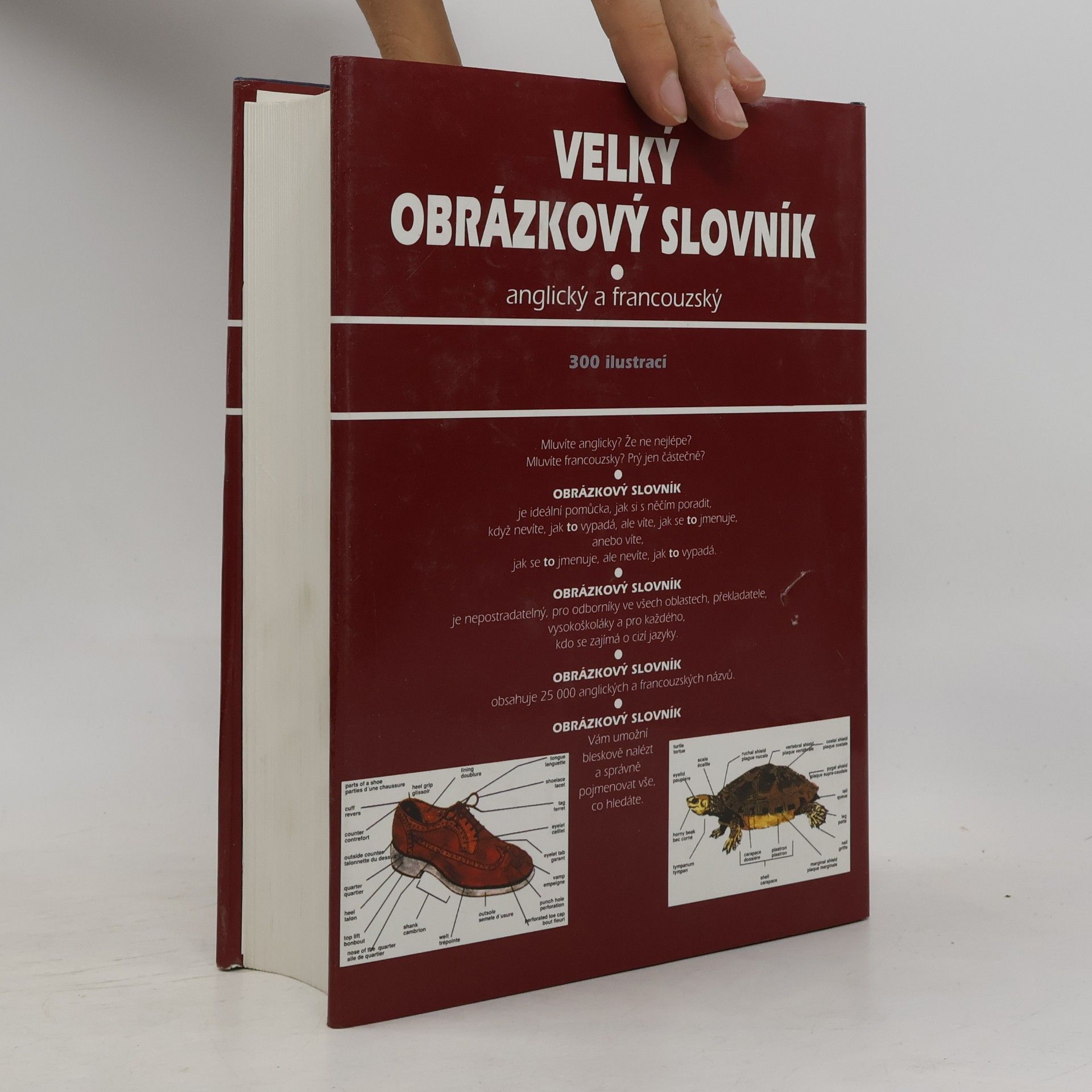 Ariane Archambault Velký obrázkový slovník. Anglický a francouzský