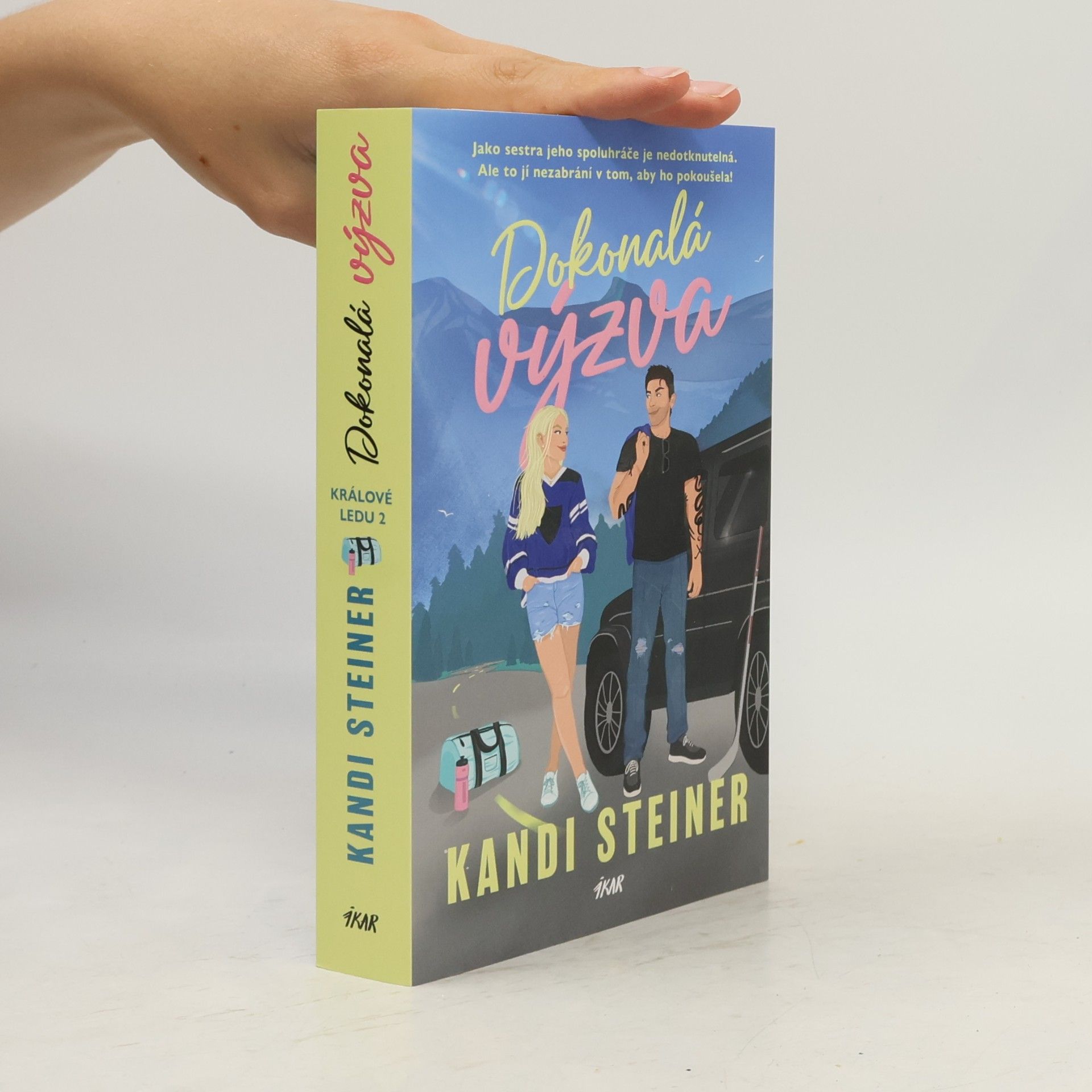 Kandi Steiner Dokonalá výzva
