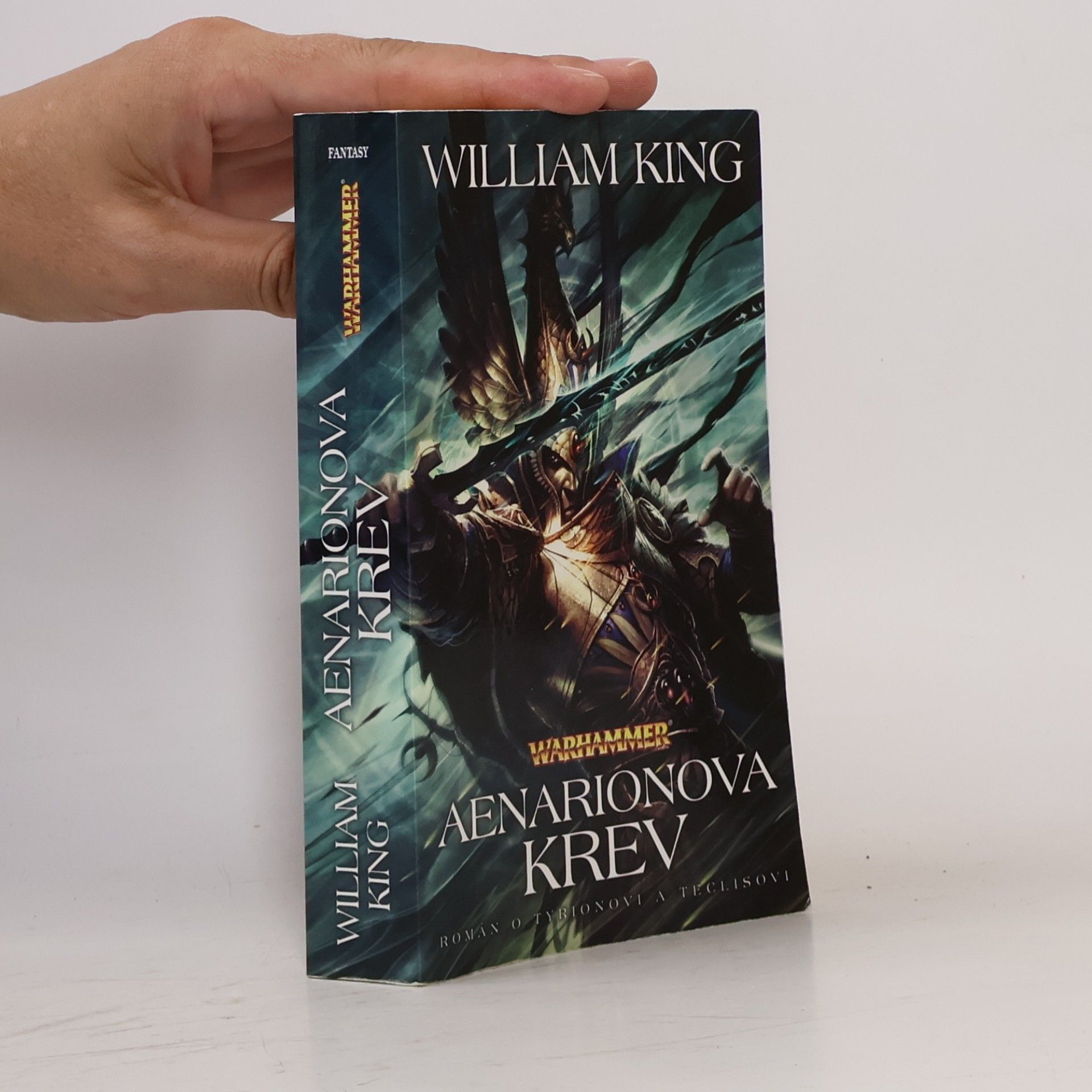 William King Aenarionova krev : román o Tyrionovi a Teclisovi