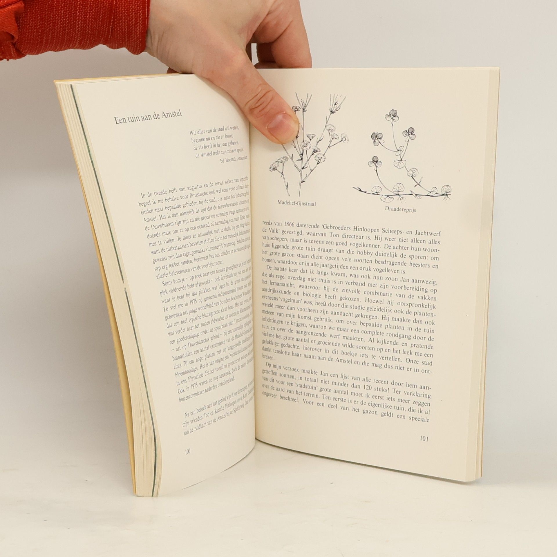 Joh. Bolman Bibliotheek van de Koninklijke Nederlandse Natuurhistorische Vereiniging - 22: Wilde planten in en bij Amsterdam