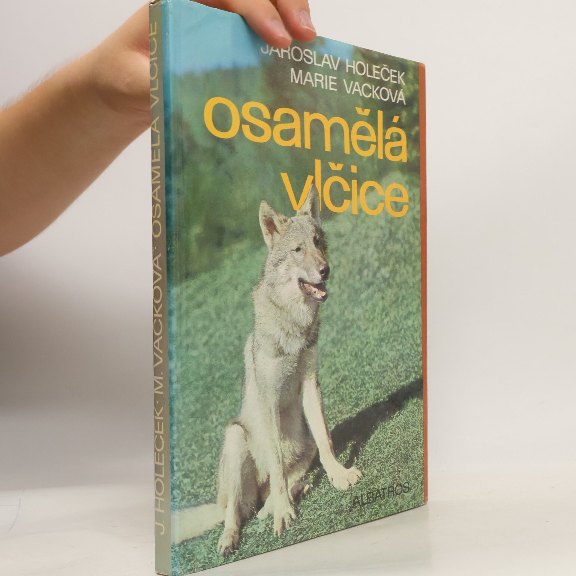 Jaroslav Holeček Osamělá vlčice