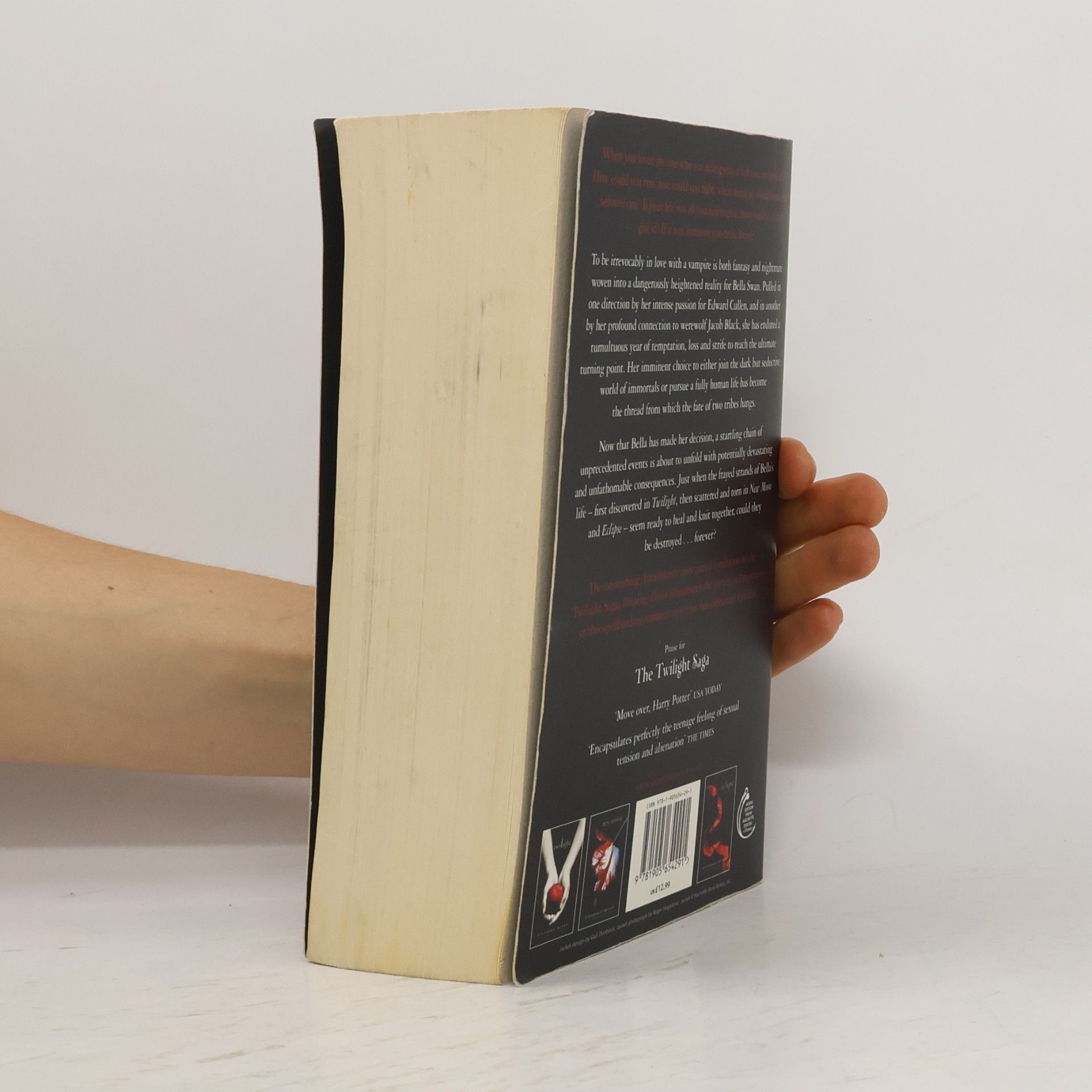Stephenie Meyer Breaking Dawn