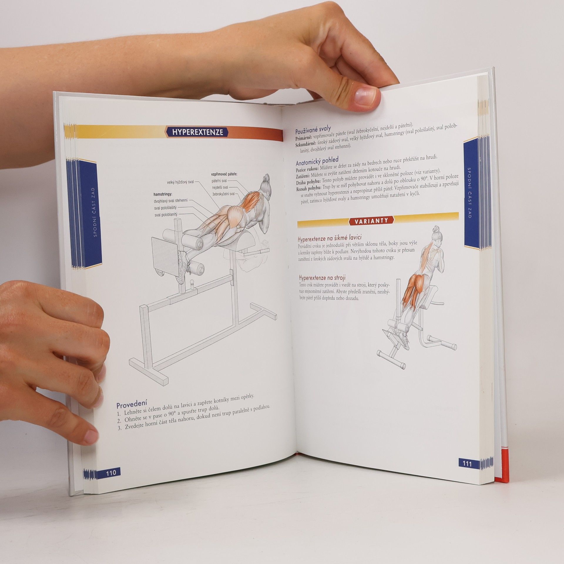 Nick Evans Bodybuilding - anatomie