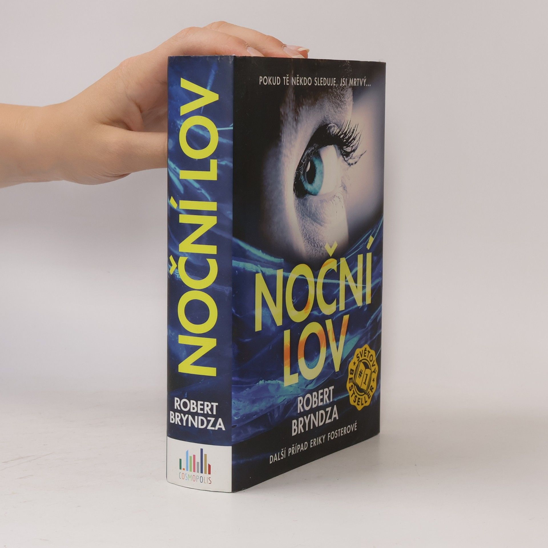 Robert Bryndza Noční lov