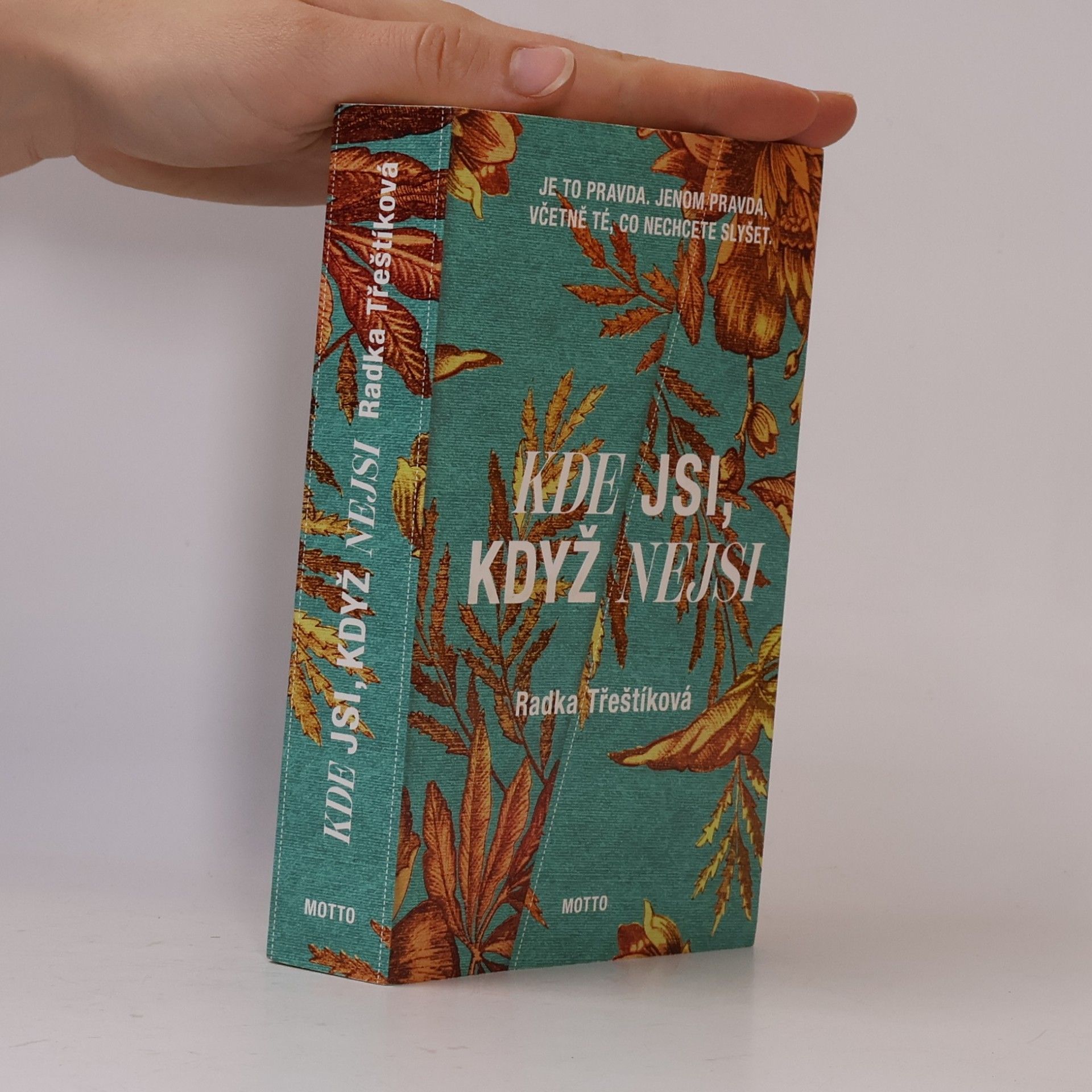 Radka Třeštíková Kde jsi, když nejsi