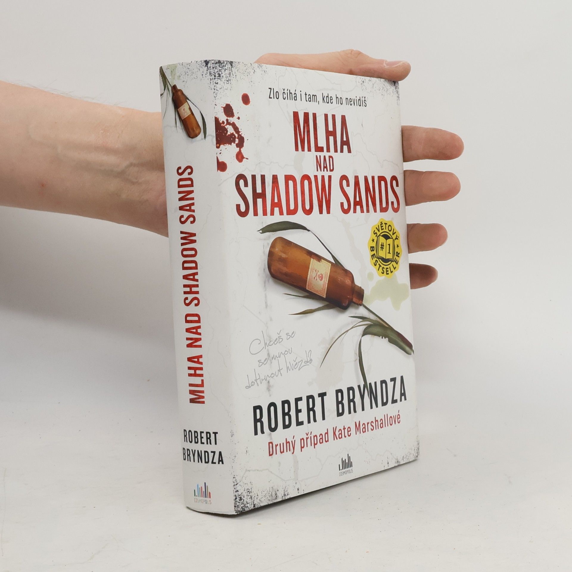 Robert Bryndza Mlha nad Shadow Sands