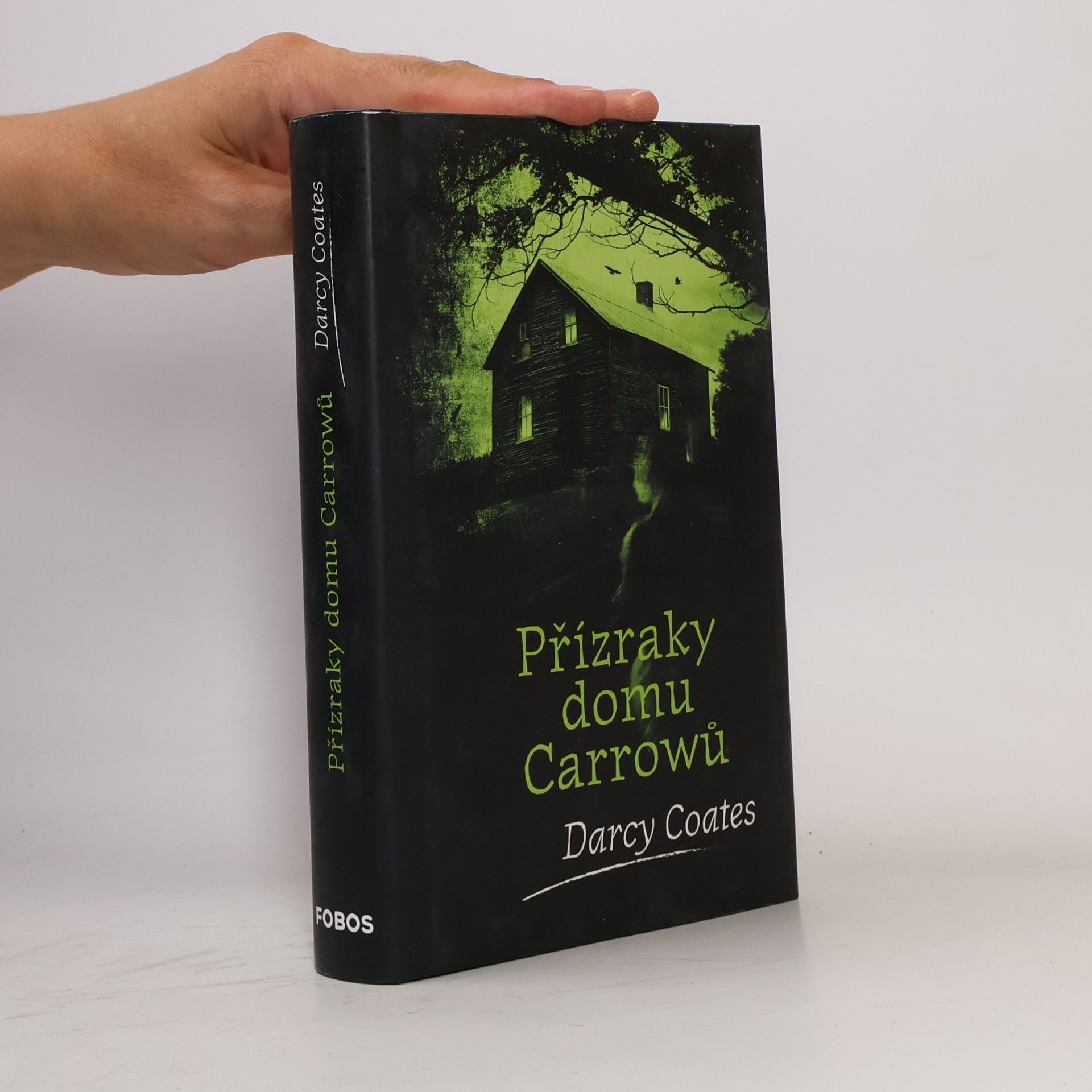 Darcy Coates Přízraky domu Carrowů