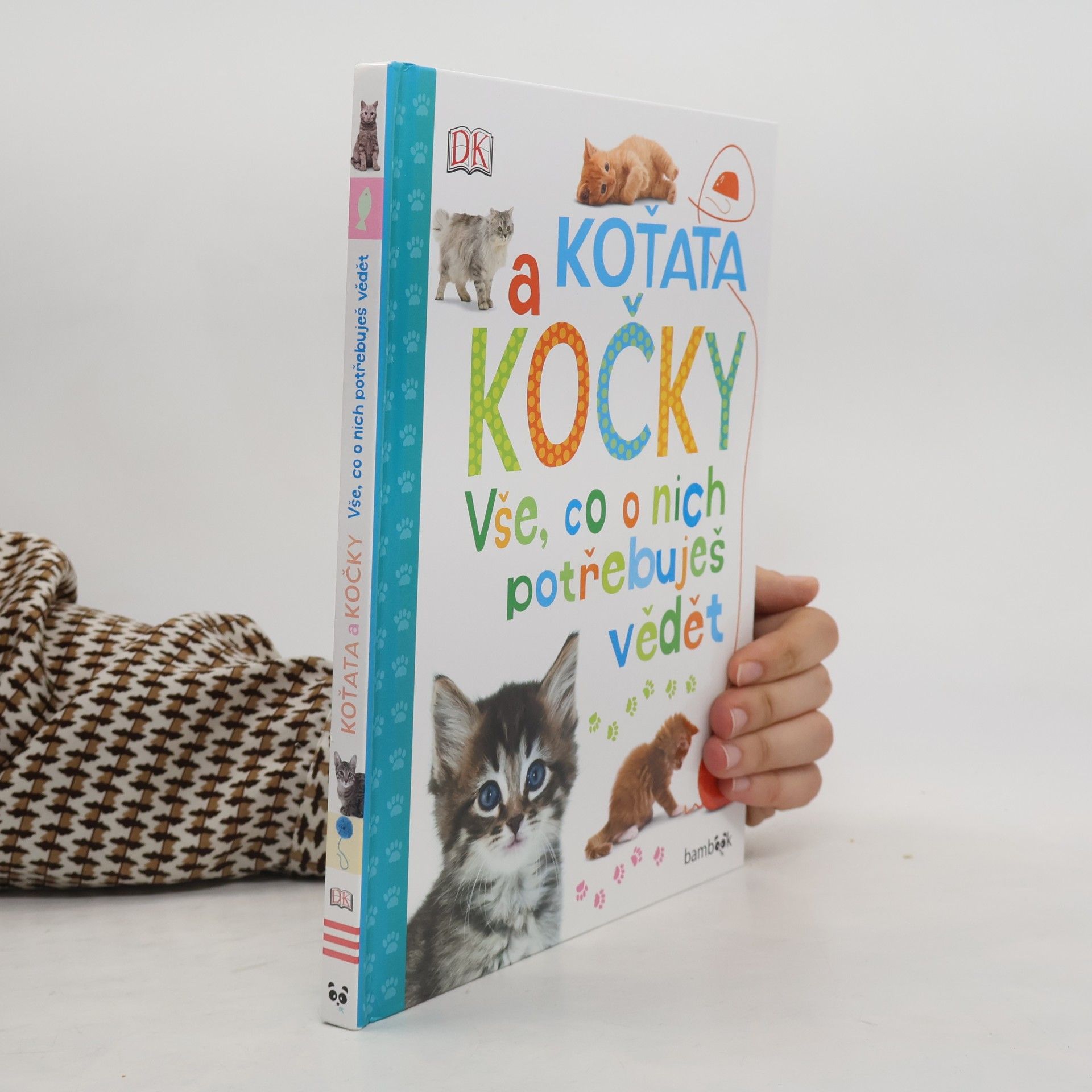 Andrea Mills Koťata a kočky – Vše, co o nich potřebuješ vědět