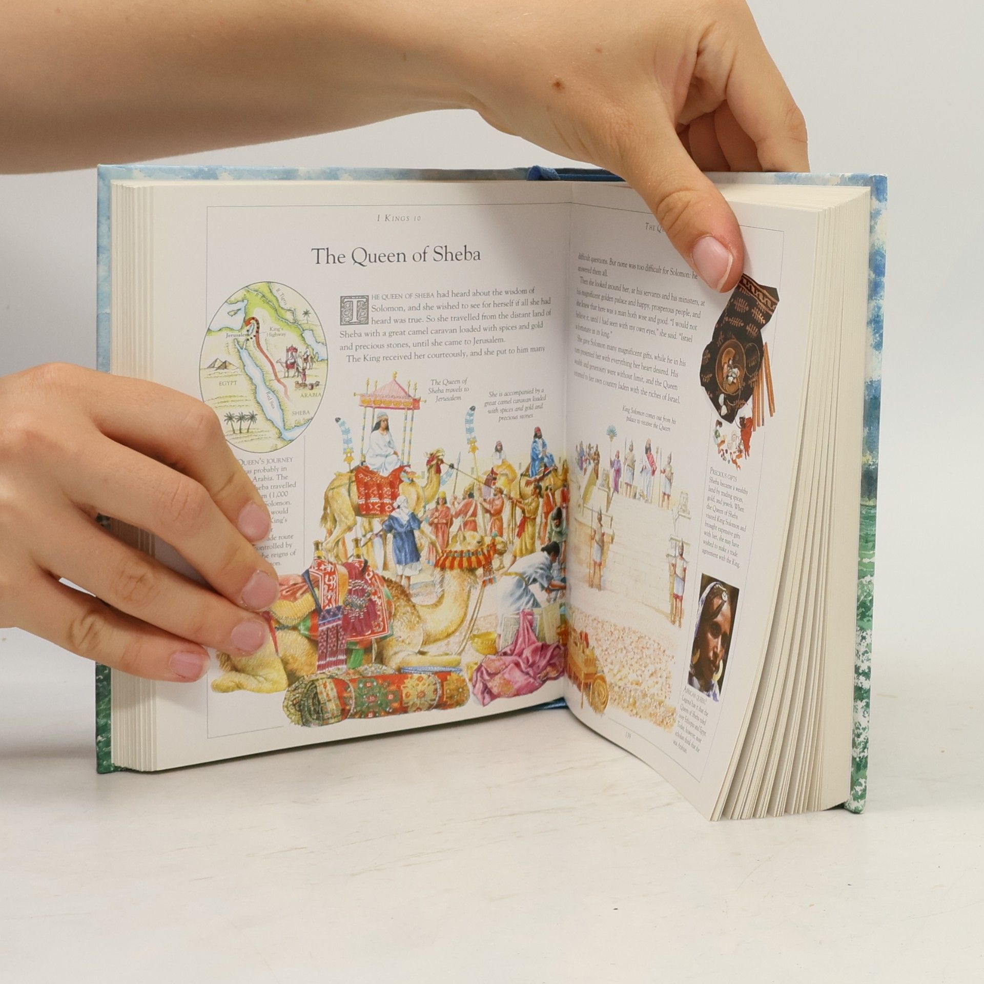 Selina Hastings Childrens' Illustrated Bible