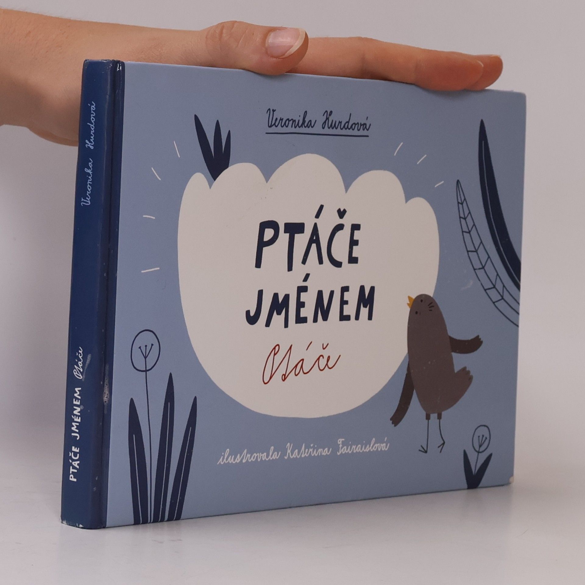 Veronika Hurdová Ptáče jménem Ptáče