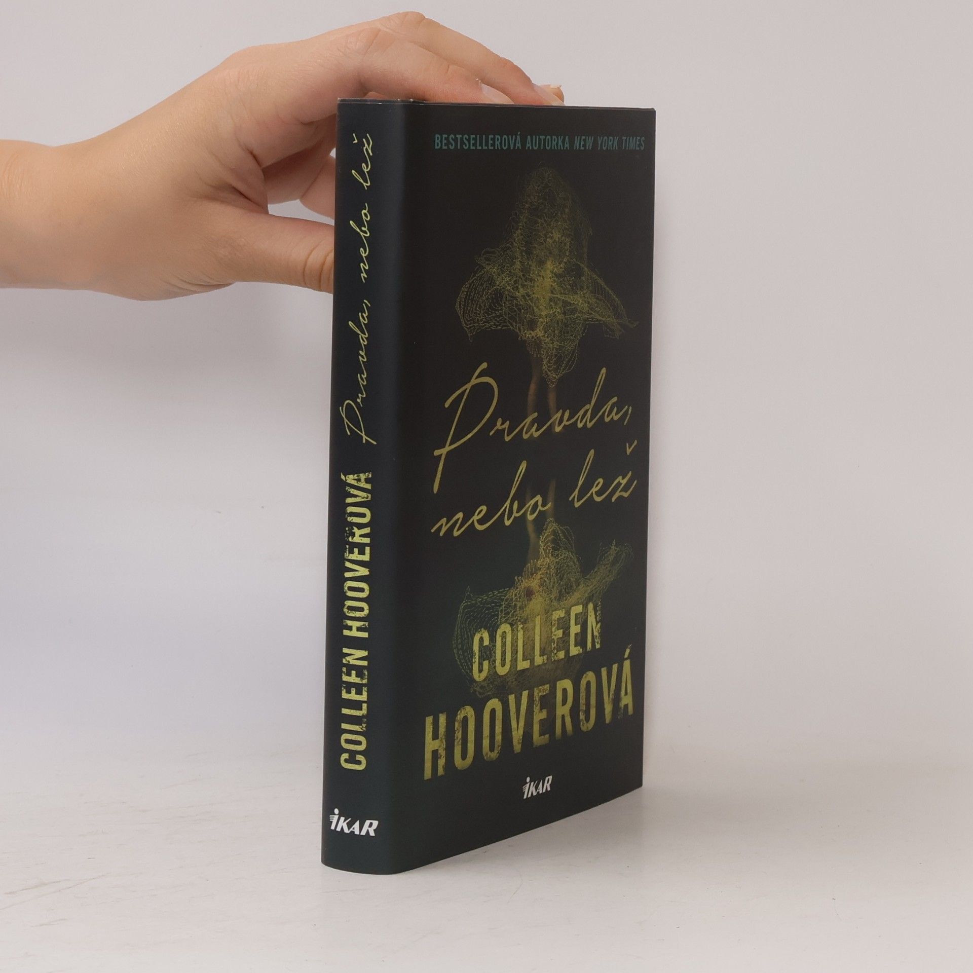 Colleen Hoover Pravda nebo lež