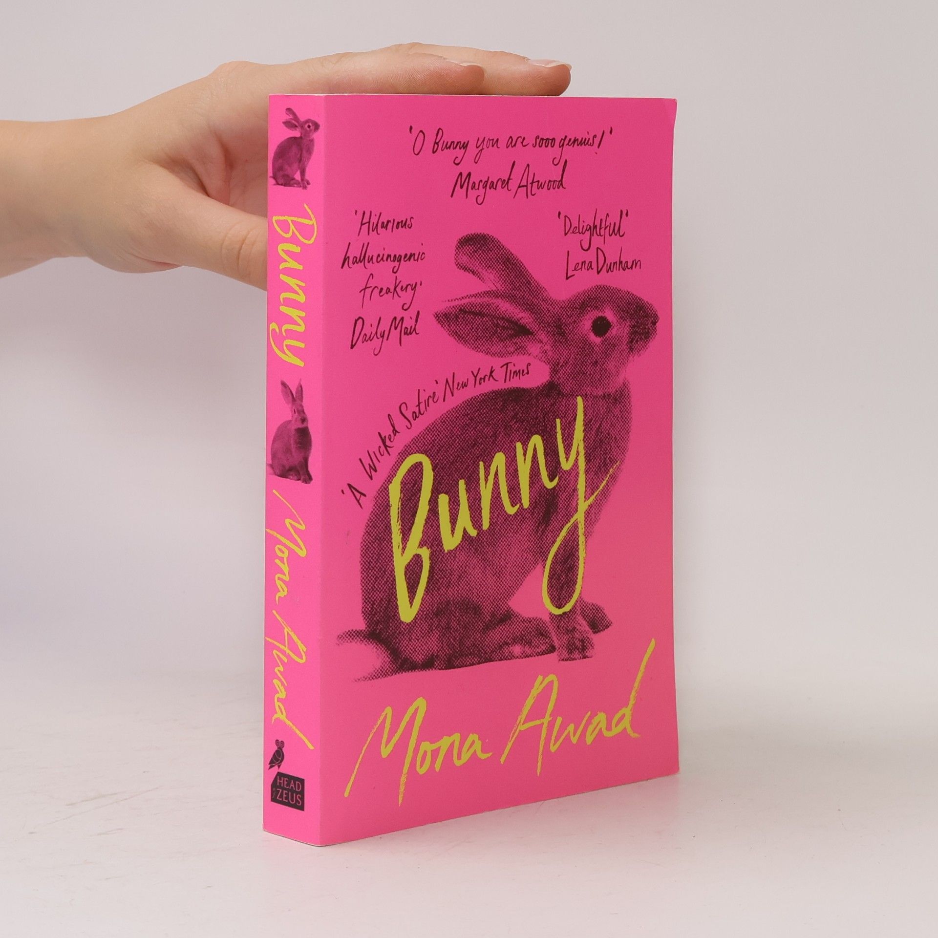Mona Awad Bunny
