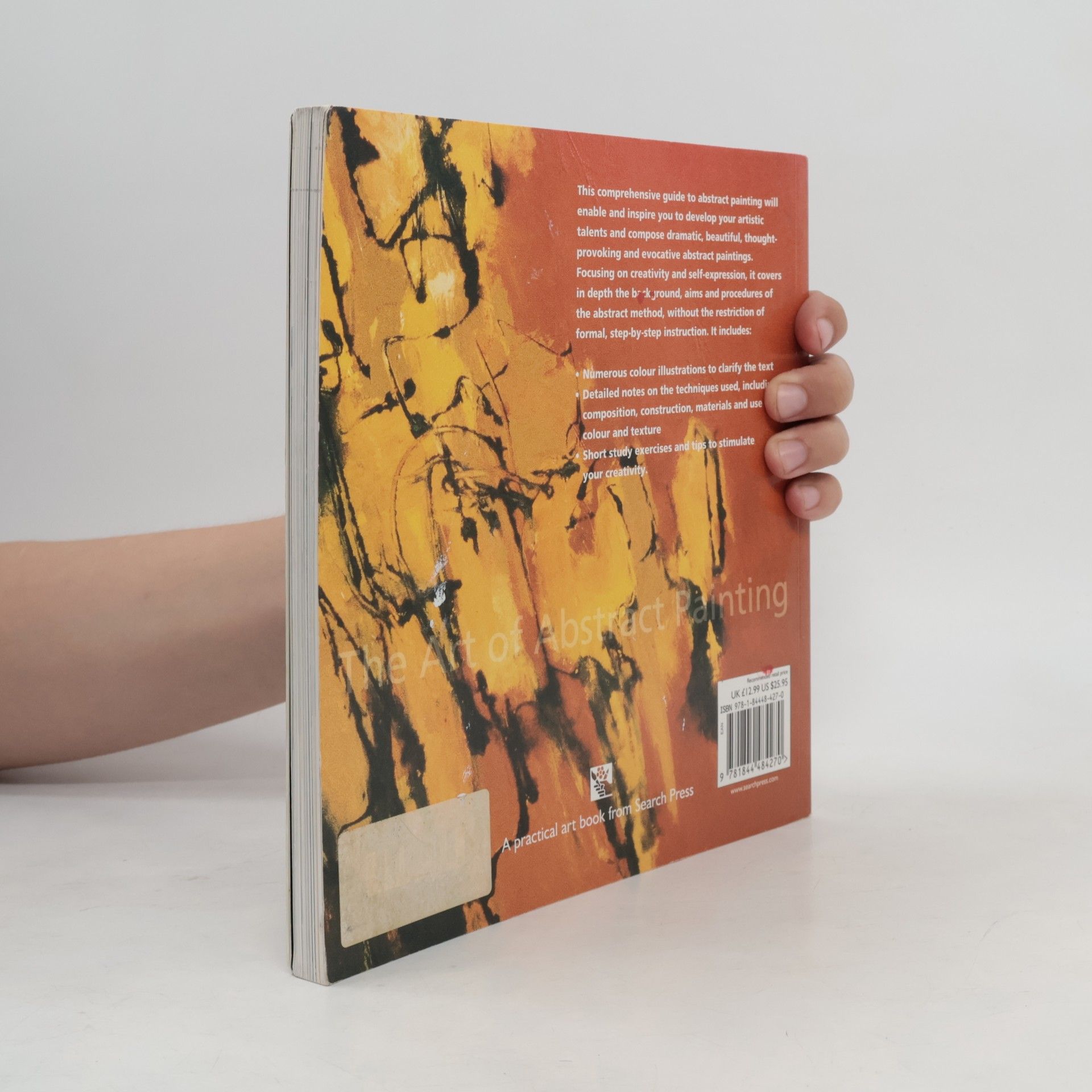 Rolina van Vliet The art of abstract painting: a guide to creativity and free expression