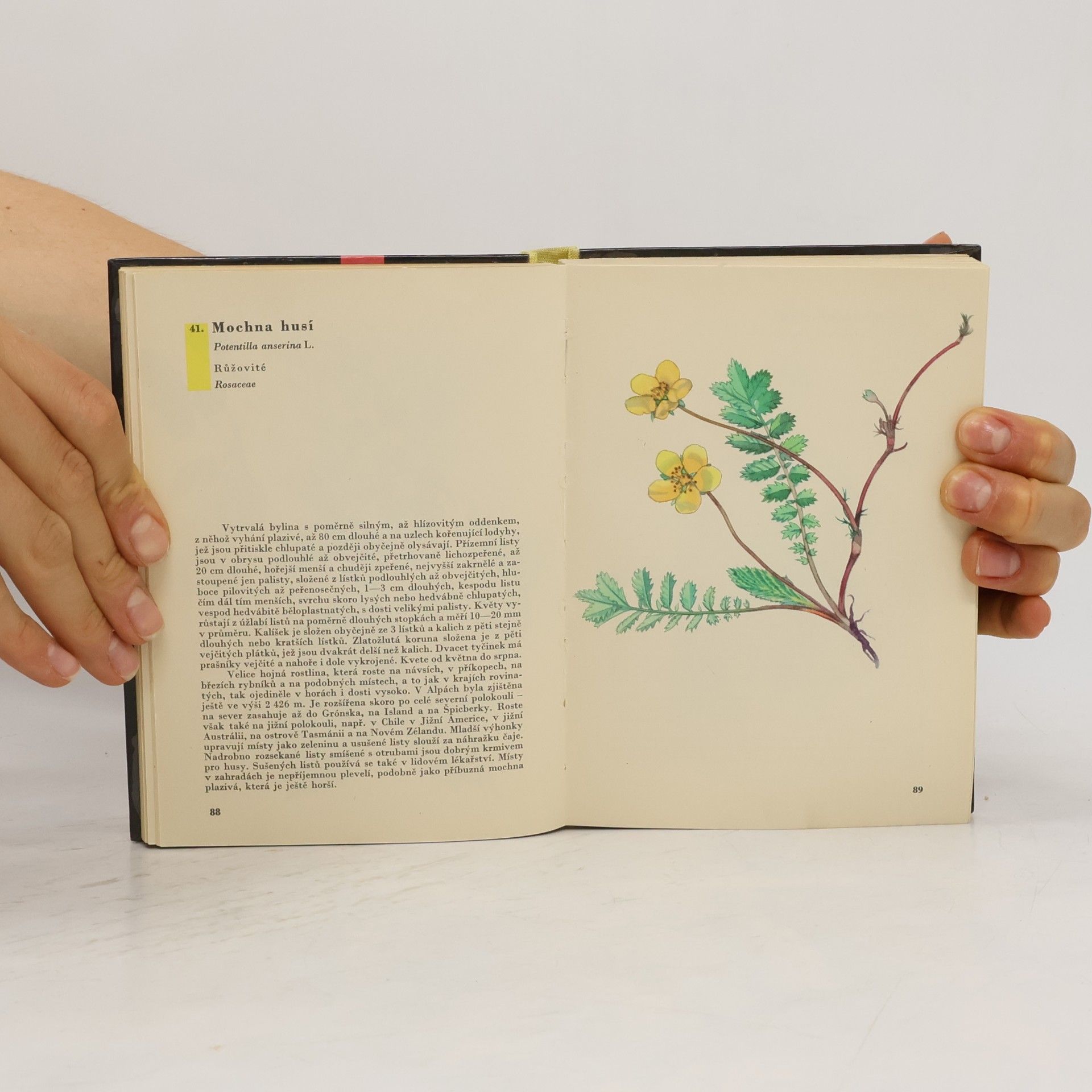 Albert Pilát Kapesní atlas rostlin
