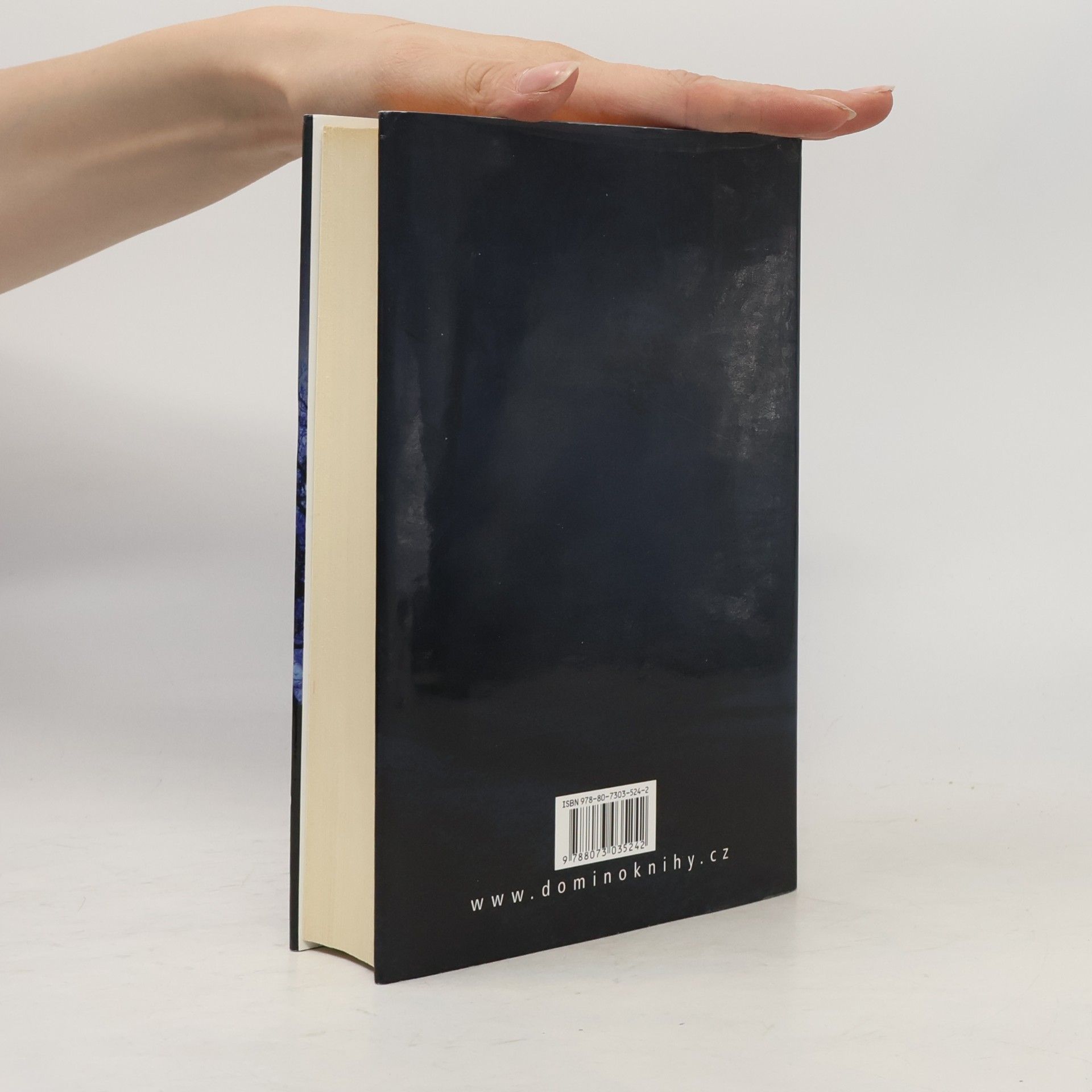 Jeffery Deaver Příští oběti