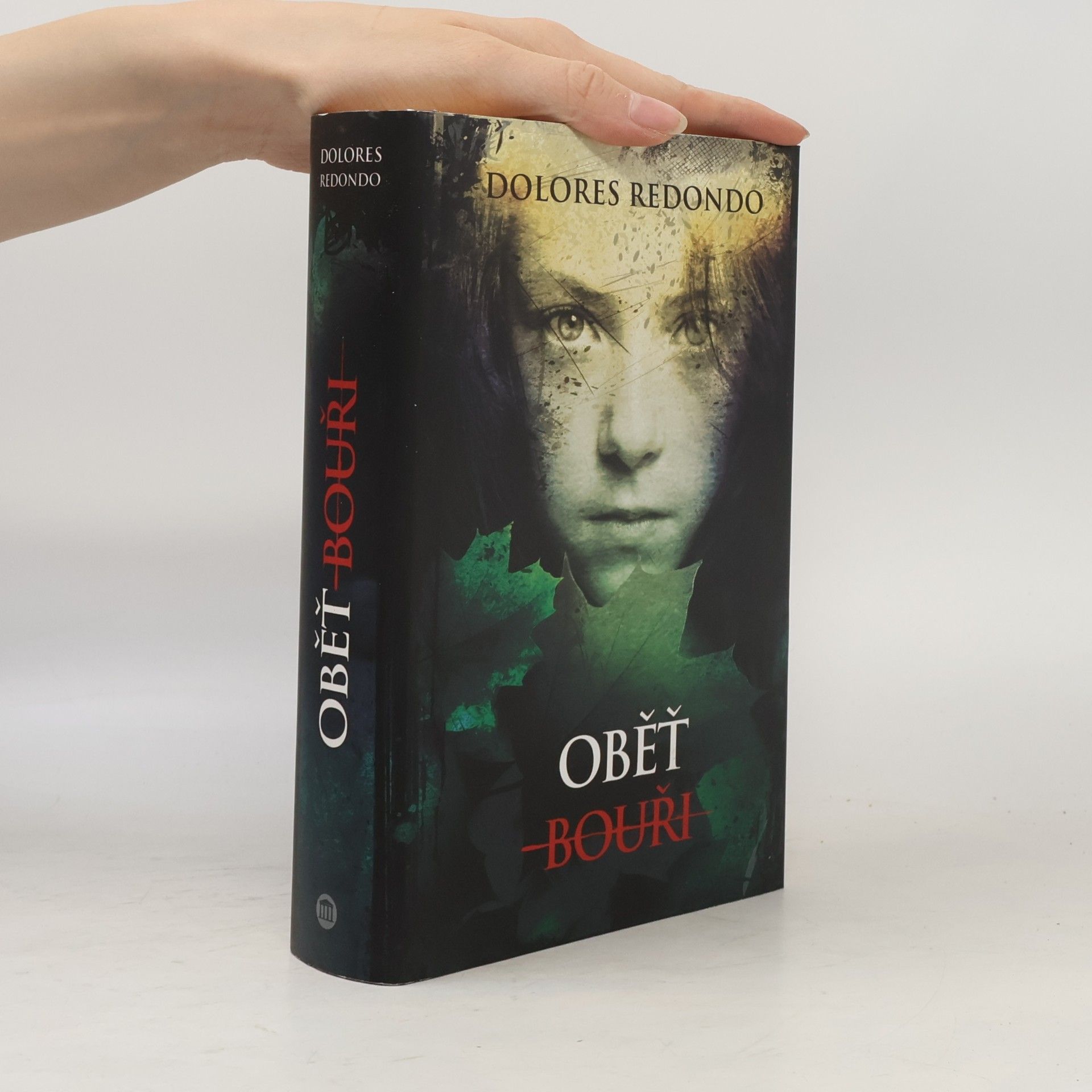 Dolores Redondo Oběť bouři