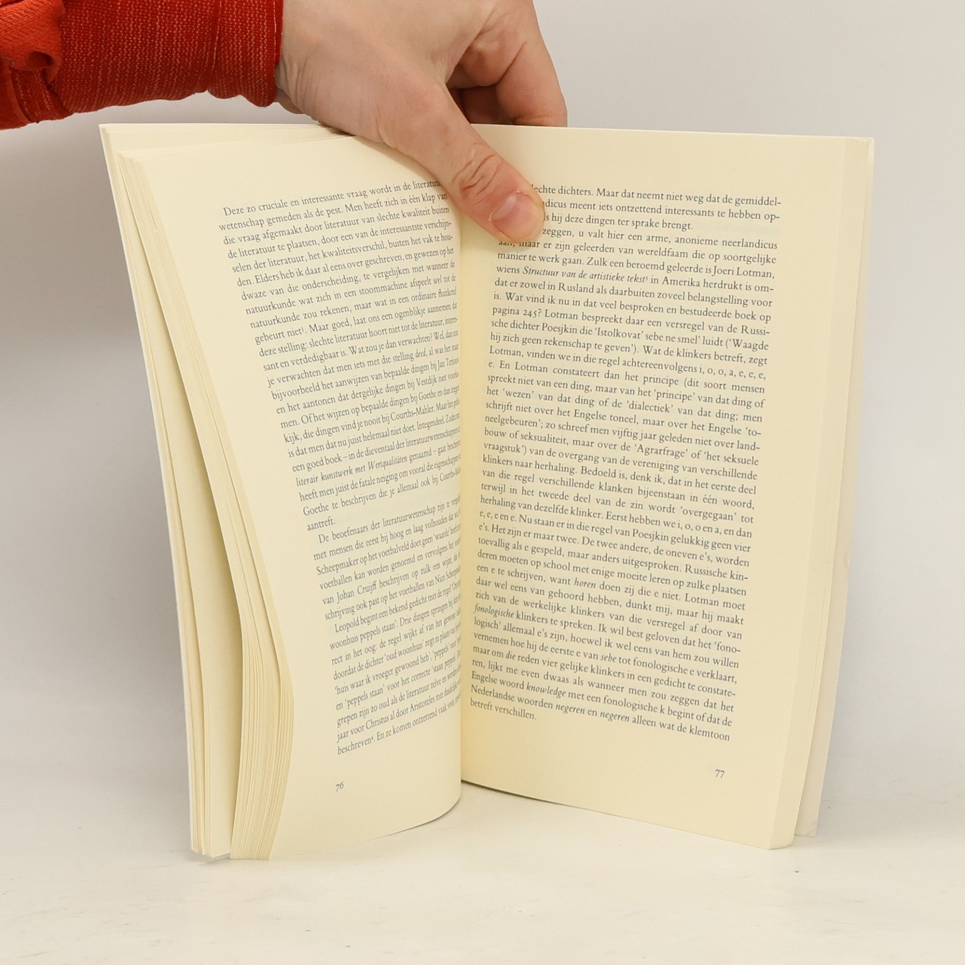 Karel van het Reve Een grote bruine envelop